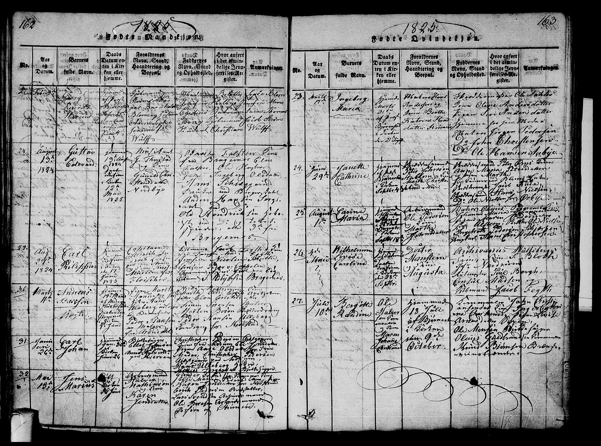 Strømsø kirkebøker, AV/SAKO-A-246/G/Ga/L0001: Parish register (copy) no. 1, 1815-1829, p. 162-163