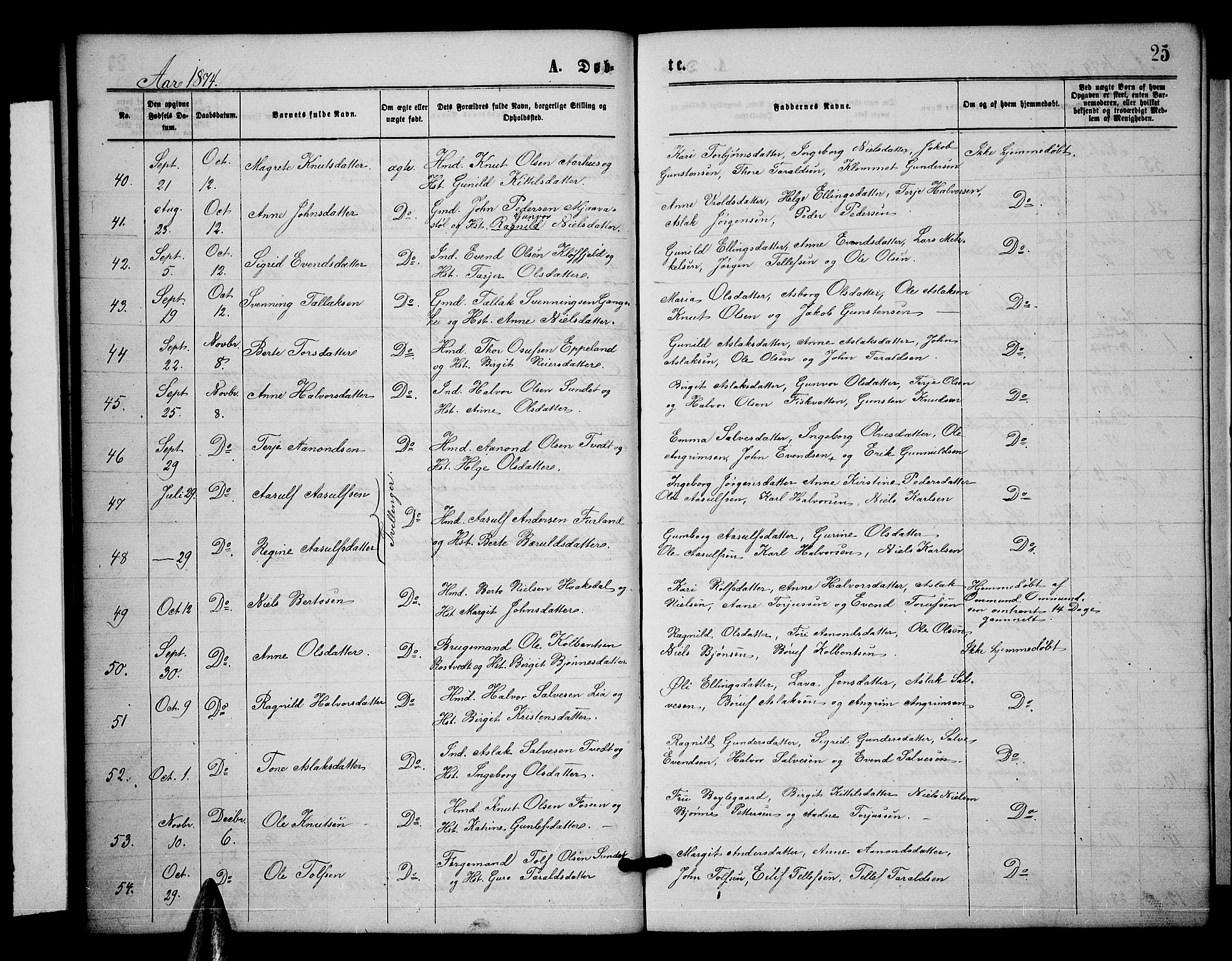 Åmli sokneprestkontor, SAK/1111-0050/F/Fb/Fbc/L0003: Parish register (copy) no. B 3, 1868-1888, p. 25