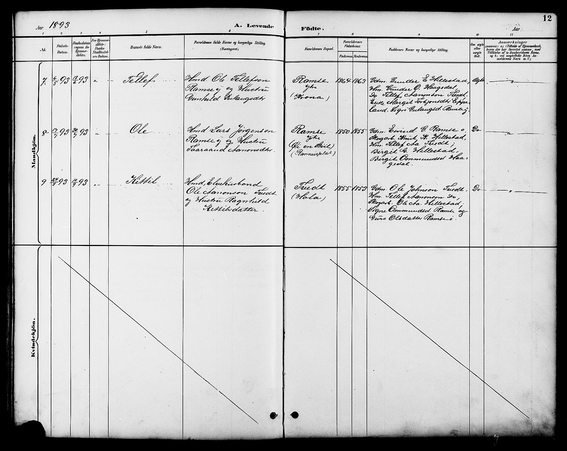 Åmli sokneprestkontor, AV/SAK-1111-0050/F/Fb/Fbb/L0002: Parish register (copy) no. B 2, 1890-1905, p. 12