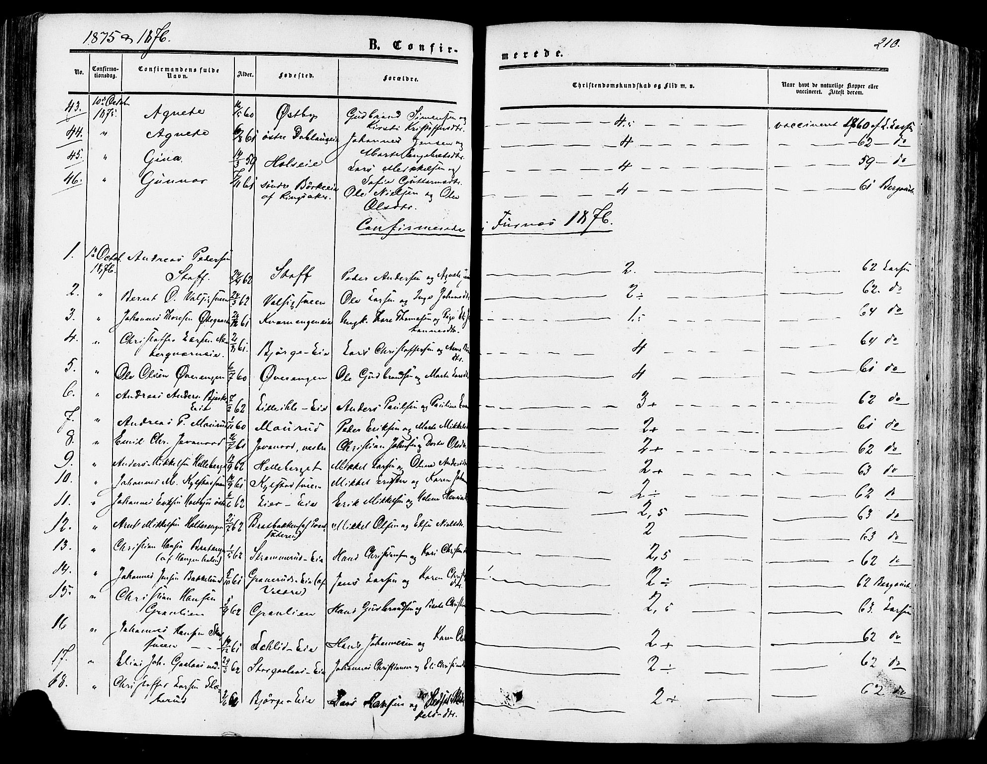 Vang prestekontor, Hedmark, SAH/PREST-008/H/Ha/Haa/L0013: Parish register (official) no. 13, 1855-1879, p. 210