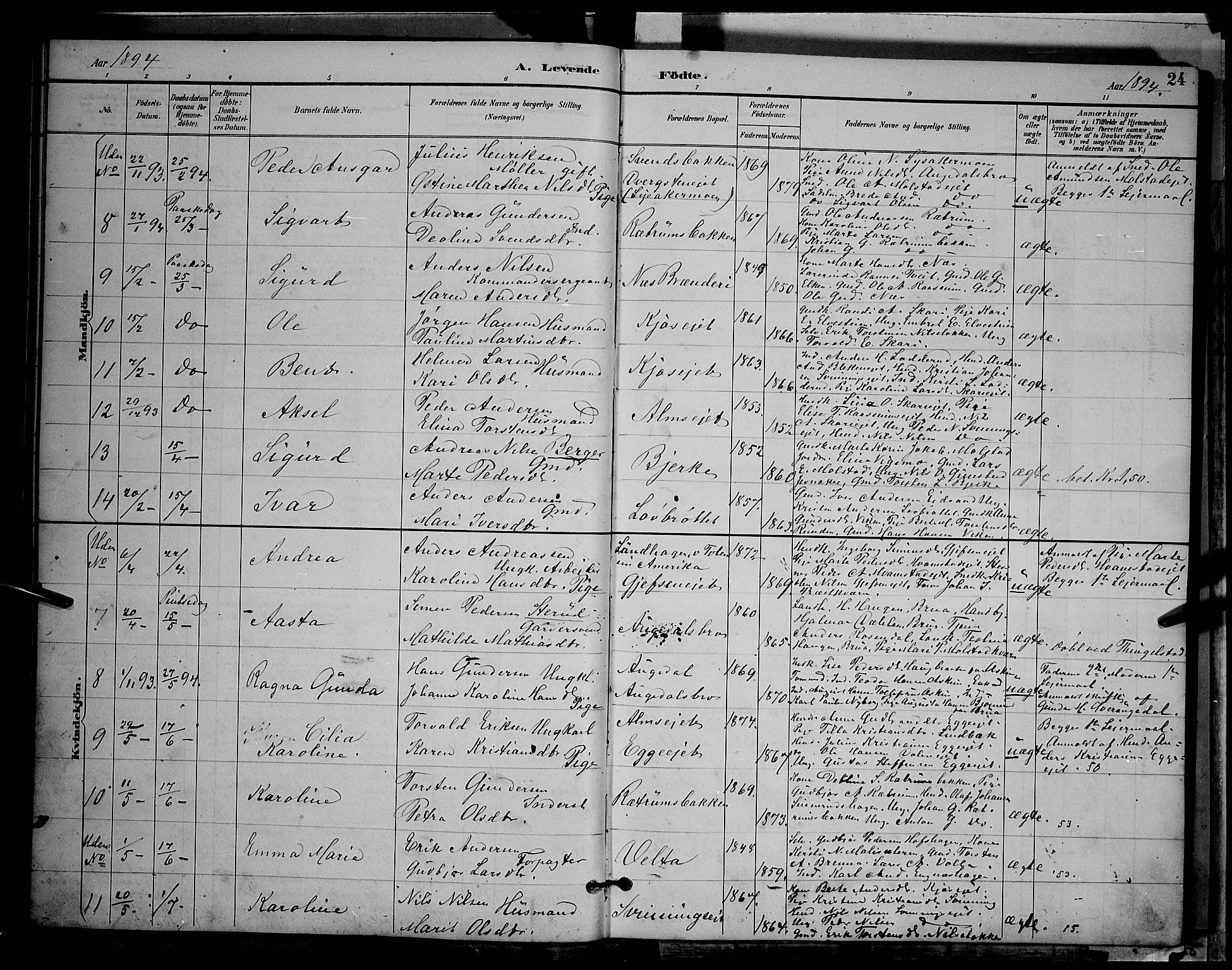 Gran prestekontor, AV/SAH-PREST-112/H/Ha/Hab/L0004: Parish register (copy) no. 4, 1890-1899, p. 24