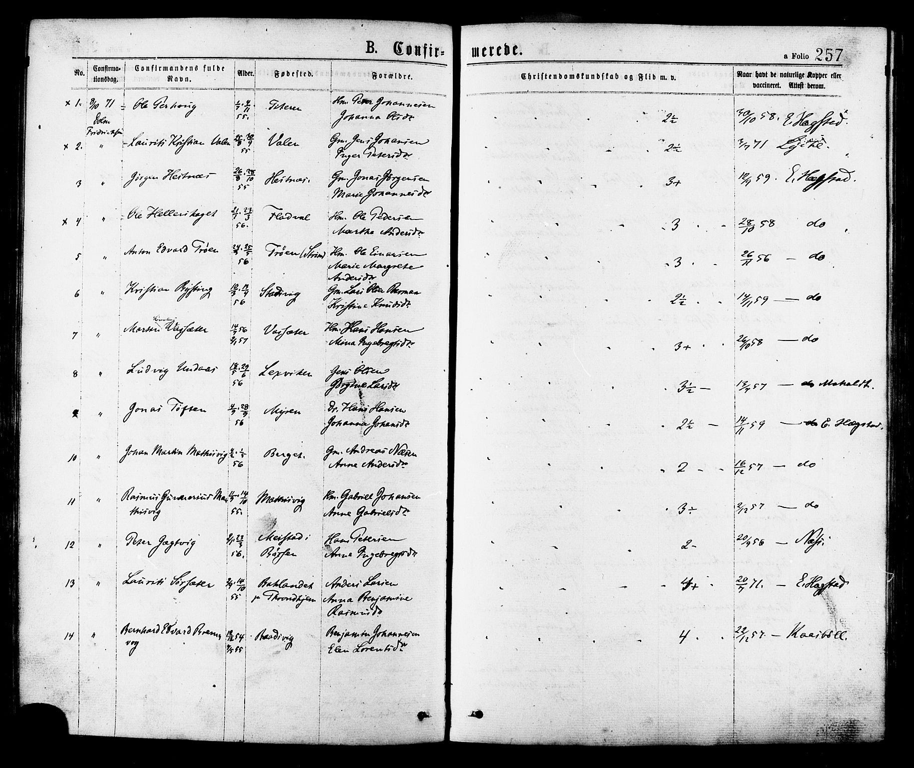 Ministerialprotokoller, klokkerbøker og fødselsregistre - Sør-Trøndelag, AV/SAT-A-1456/634/L0532: Parish register (official) no. 634A08, 1871-1881, p. 257