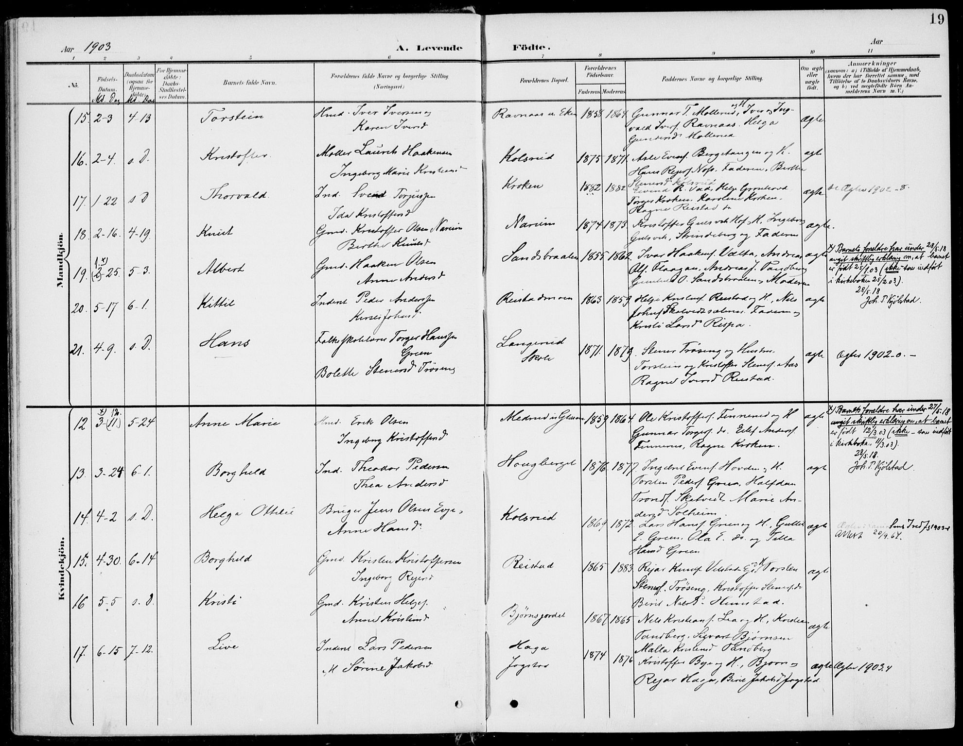 Sigdal kirkebøker, AV/SAKO-A-245/F/Fb/L0002: Parish register (official) no. II 2, 1901-1914, p. 19