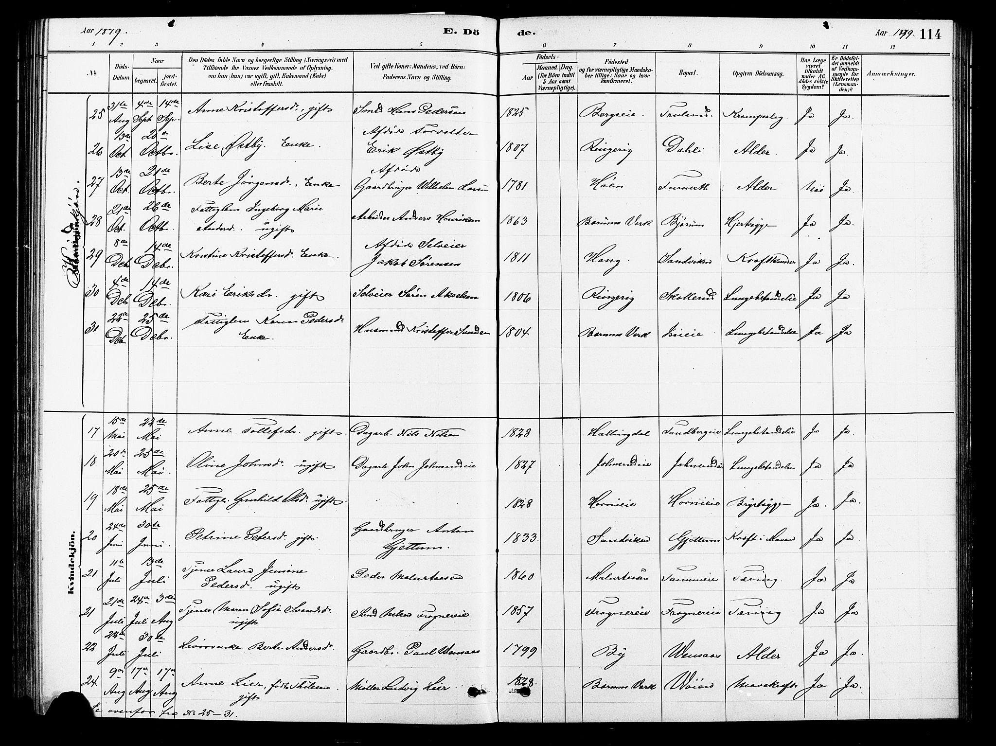 Asker prestekontor Kirkebøker, SAO/A-10256a/F/Fb/L0001: Parish register (official) no. II 1, 1879-1895, p. 114