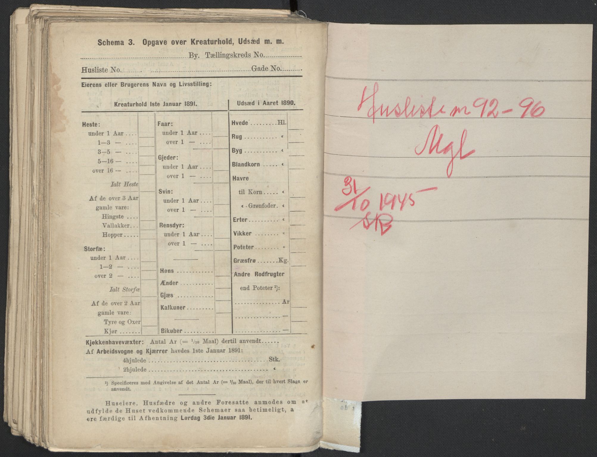 RA, 1891 Census for 1301 Bergen, 1891, p. 8141