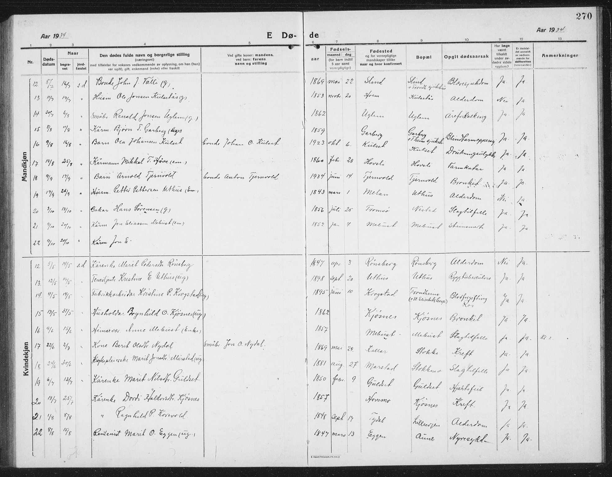 Ministerialprotokoller, klokkerbøker og fødselsregistre - Sør-Trøndelag, AV/SAT-A-1456/695/L1158: Parish register (copy) no. 695C09, 1913-1940, p. 270