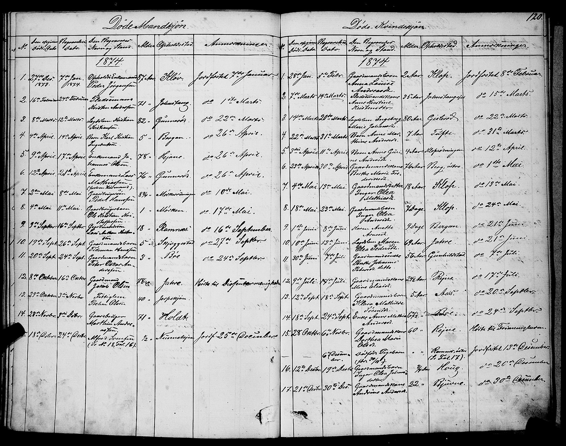 Ramnes kirkebøker, AV/SAKO-A-314/G/Ga/L0003: Parish register (copy) no. I 3, 1870-1896, p. 120