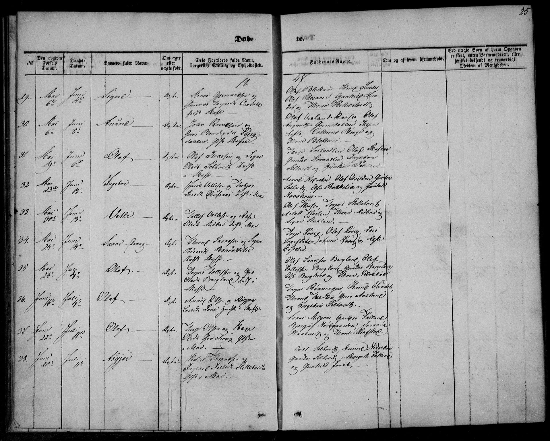 Mo kirkebøker, AV/SAKO-A-286/F/Fa/L0005: Parish register (official) no. I 5, 1844-1864, p. 25