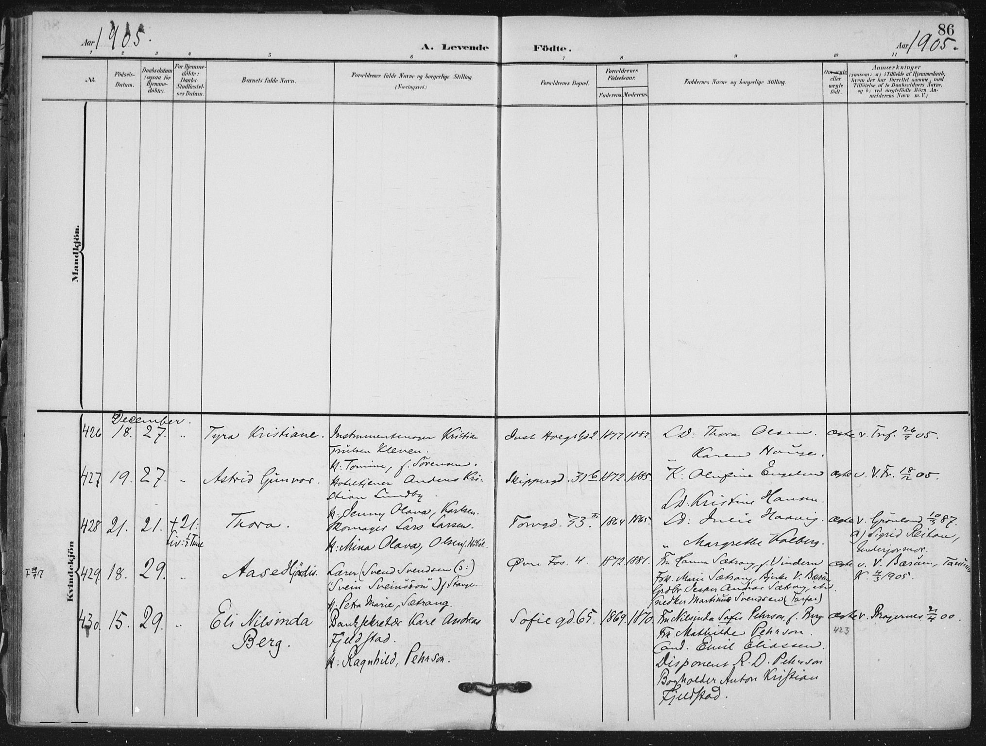 Rikshospitalet prestekontor Kirkebøker, AV/SAO-A-10309b/F/L0013: Parish register (official) no. 13, 1905-1908, p. 86