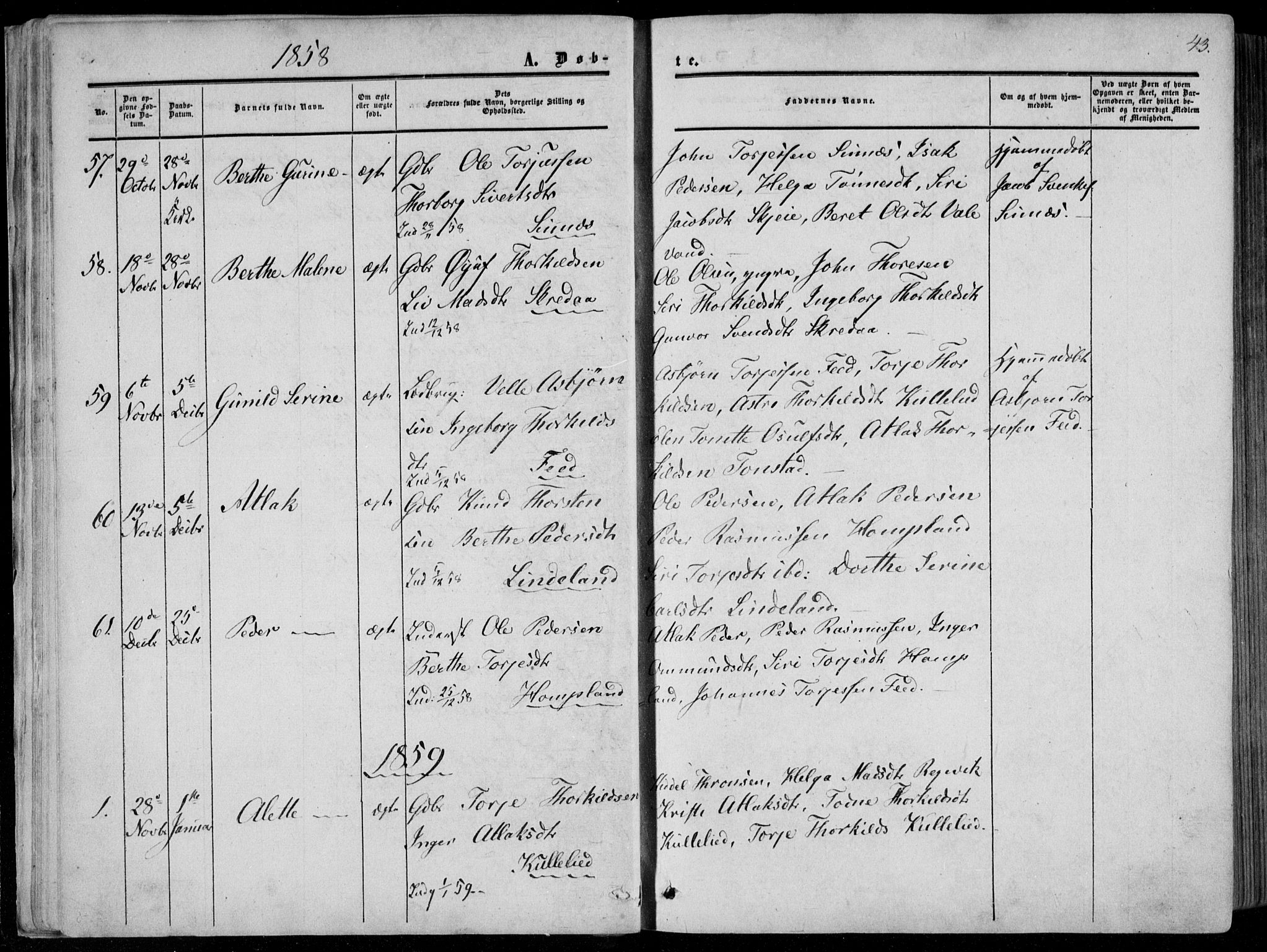 Sirdal sokneprestkontor, AV/SAK-1111-0036/F/Fa/Fab/L0002: Parish register (official) no. A 2, 1855-1874, p. 43