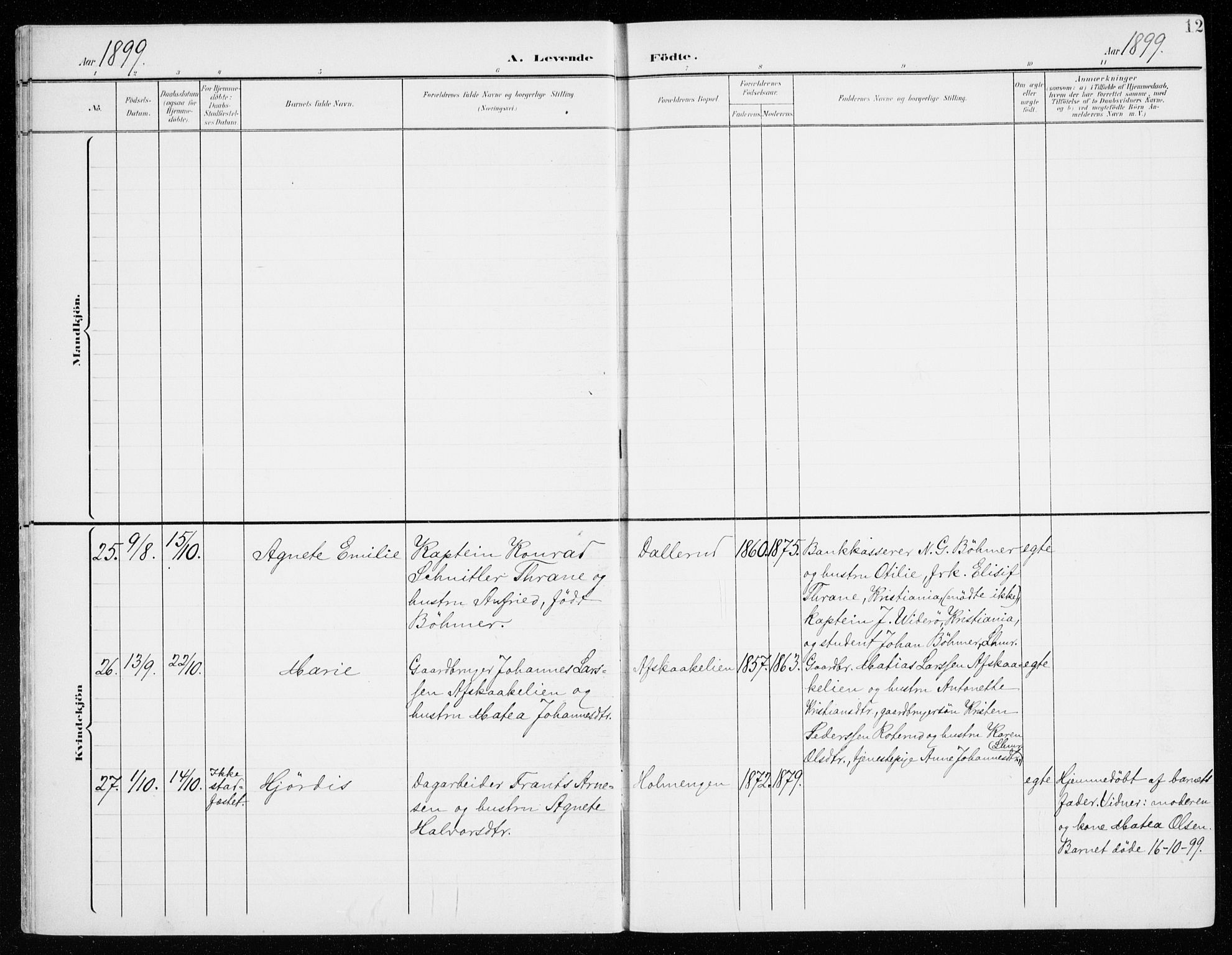 Fåberg prestekontor, AV/SAH-PREST-086/H/Ha/Haa/L0011: Parish register (official) no. 11, 1899-1913, p. 12