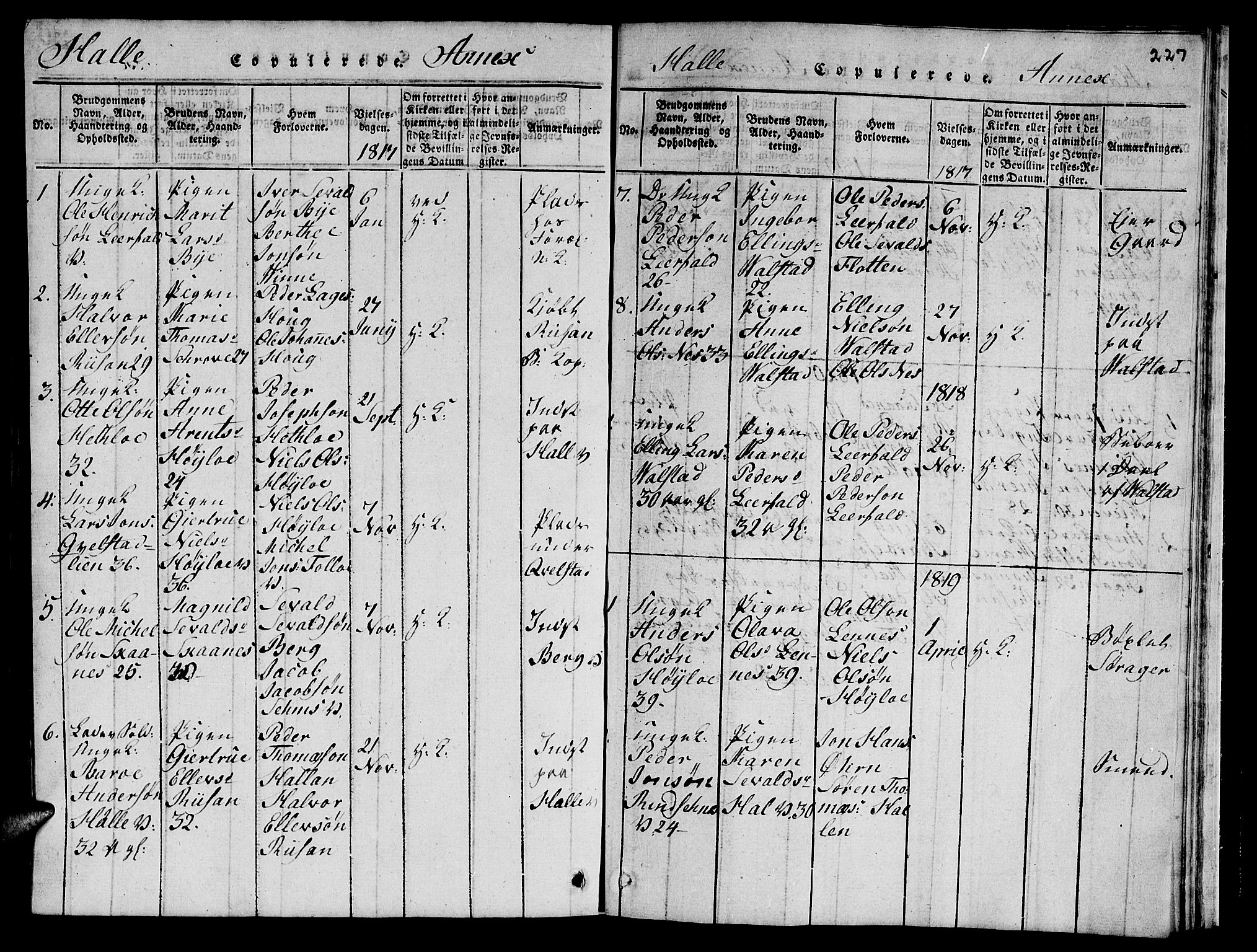 Ministerialprotokoller, klokkerbøker og fødselsregistre - Nord-Trøndelag, AV/SAT-A-1458/723/L0251: Parish register (copy) no. 723C01 /3, 1817-1821, p. 227