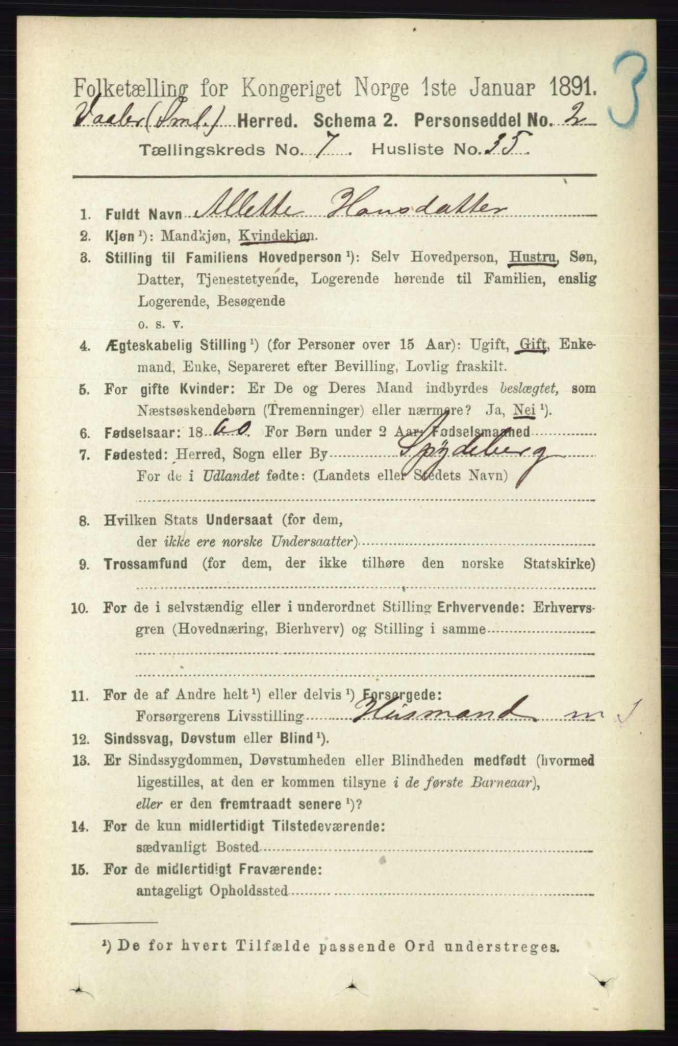 RA, 1891 census for 0137 Våler, 1891, p. 3067