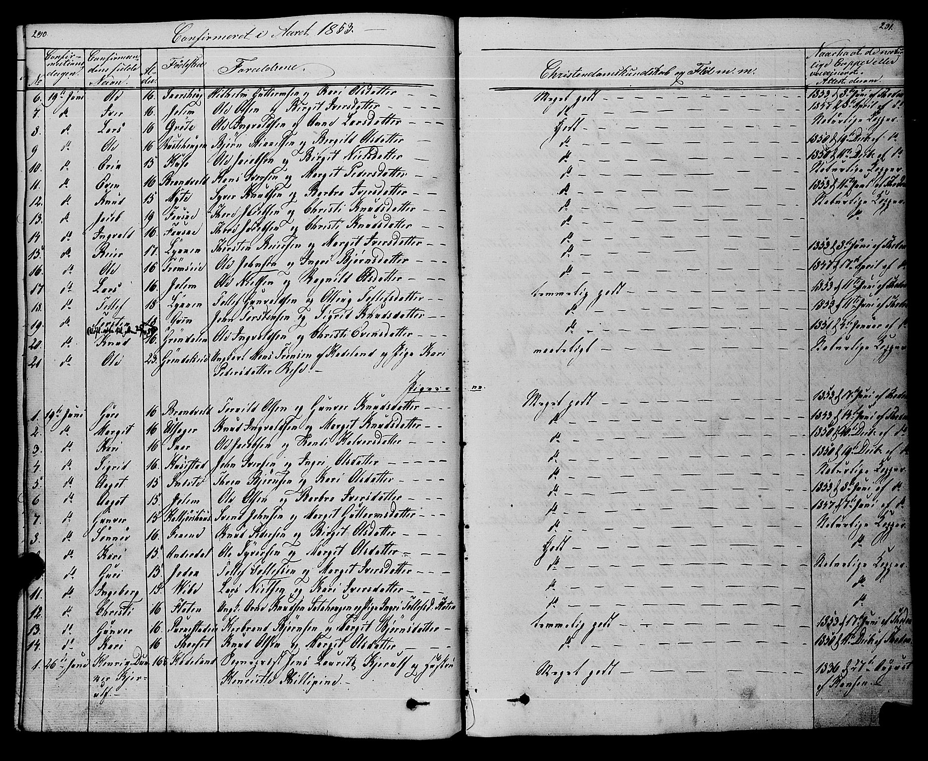 Gol kirkebøker, AV/SAKO-A-226/F/Fa/L0002: Parish register (official) no. I 2, 1837-1863, p. 290-291