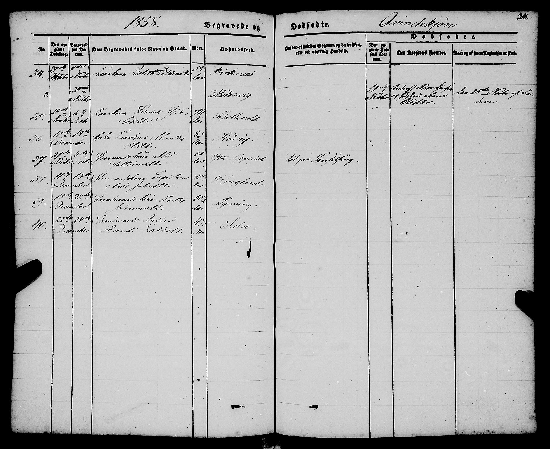 Gulen sokneprestembete, AV/SAB-A-80201/H/Haa/Haaa/L0021: Parish register (official) no. A 21, 1848-1858, p. 316
