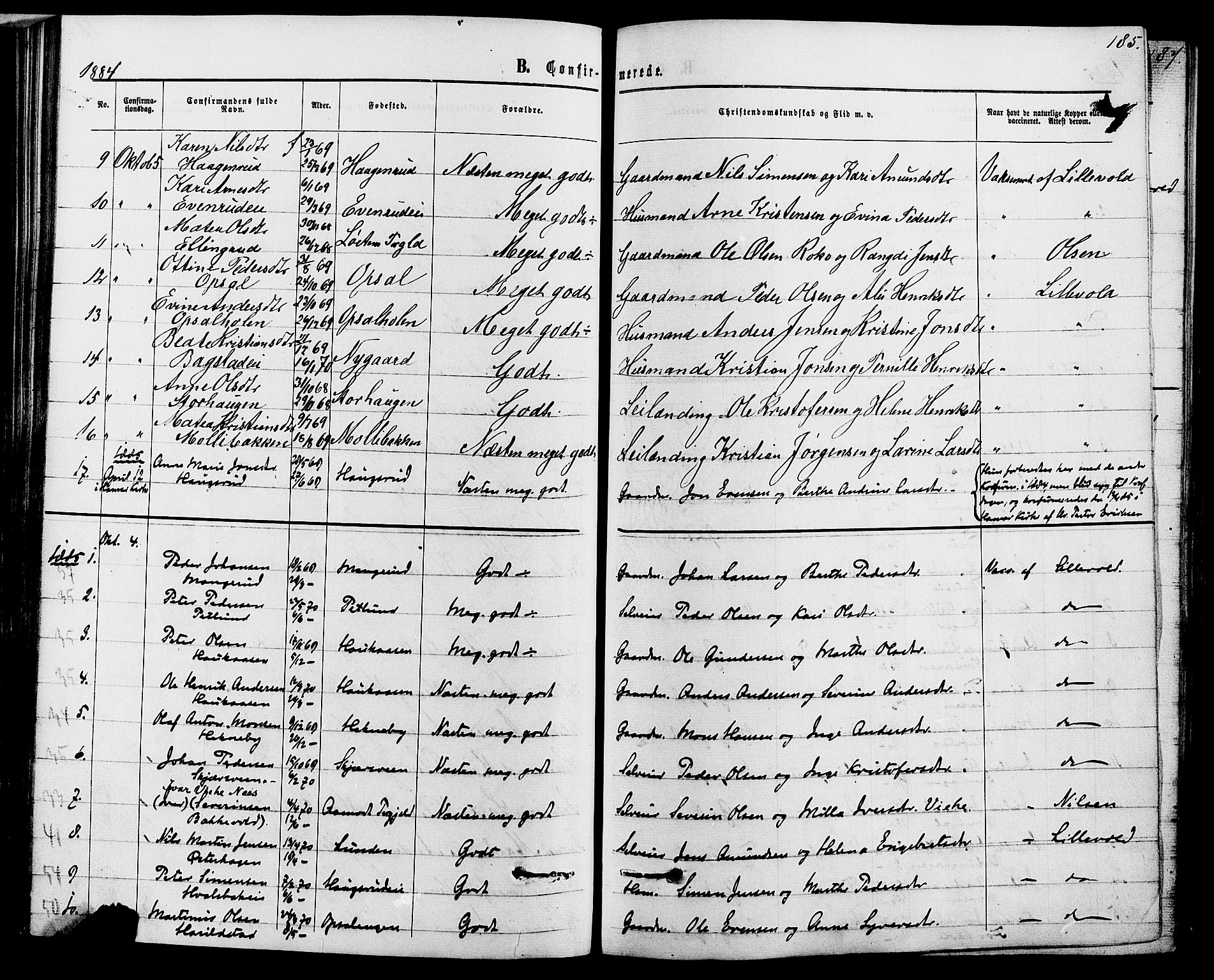 Romedal prestekontor, SAH/PREST-004/K/L0006: Parish register (official) no. 6, 1866-1886, p. 185