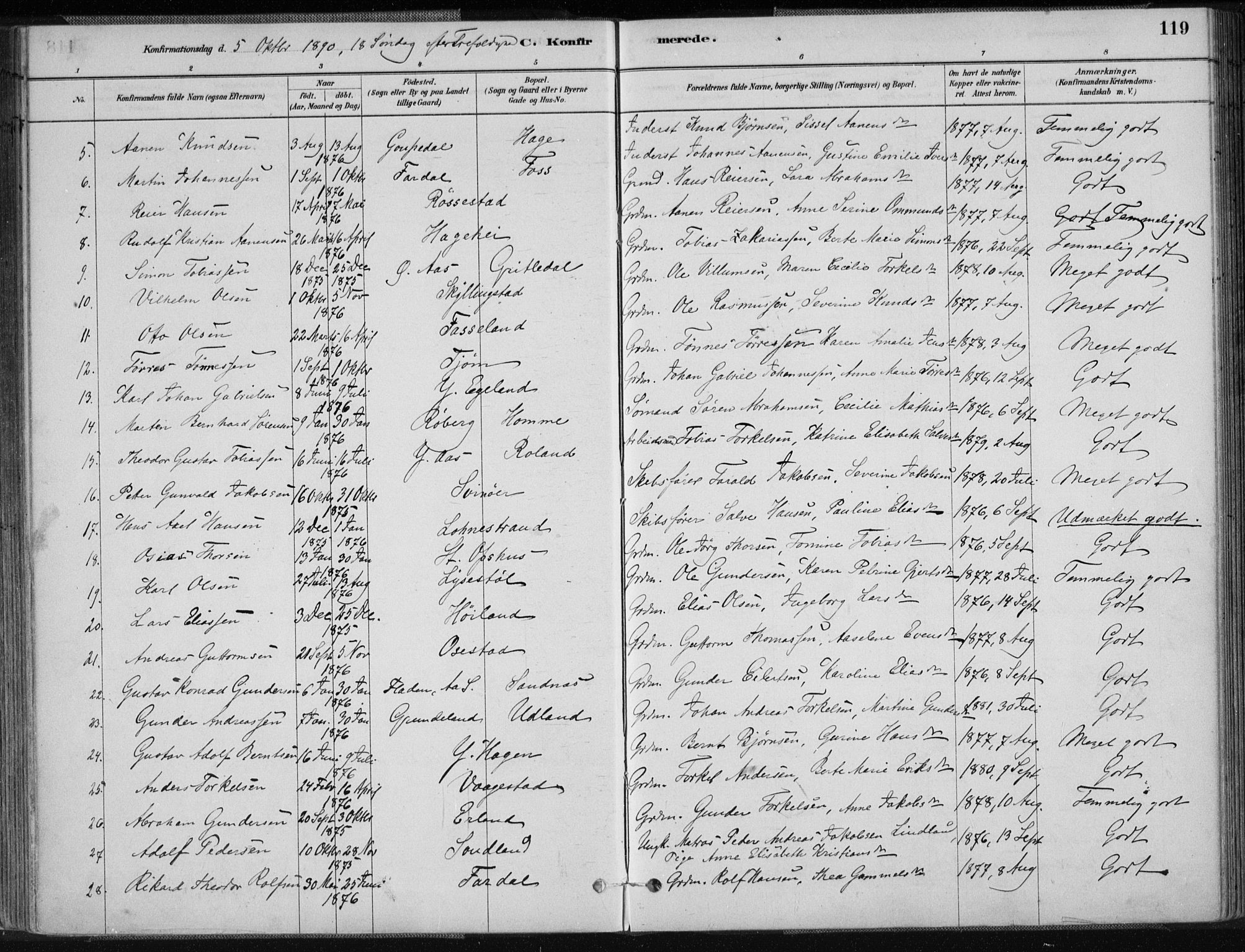 Sør-Audnedal sokneprestkontor, AV/SAK-1111-0039/F/Fa/Fab/L0009: Parish register (official) no. A 9, 1880-1895, p. 119