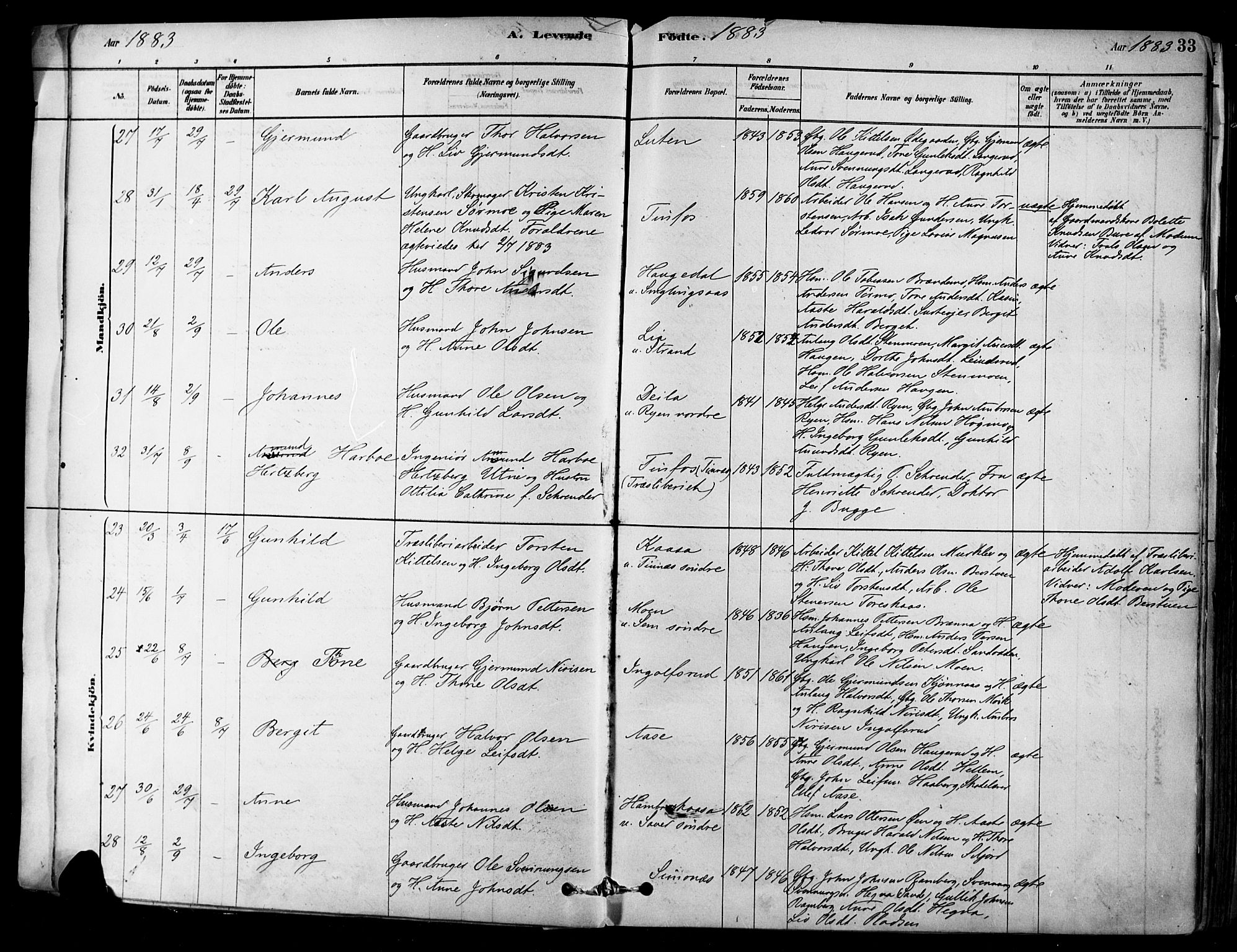 Heddal kirkebøker, AV/SAKO-A-268/F/Fa/L0008: Parish register (official) no. I 8, 1878-1903, p. 33
