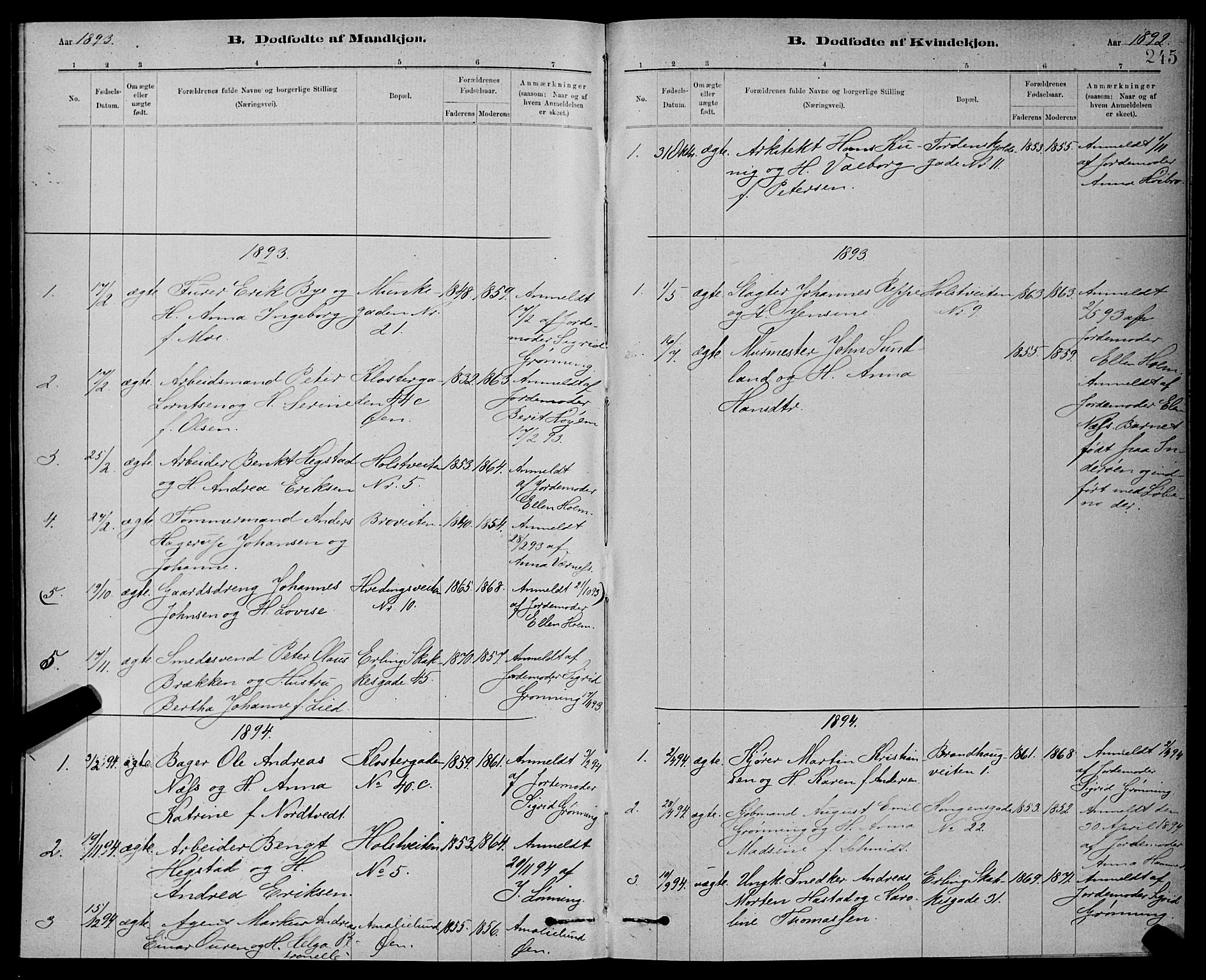 Ministerialprotokoller, klokkerbøker og fødselsregistre - Sør-Trøndelag, SAT/A-1456/601/L0092: Parish register (copy) no. 601C10, 1884-1897, p. 245