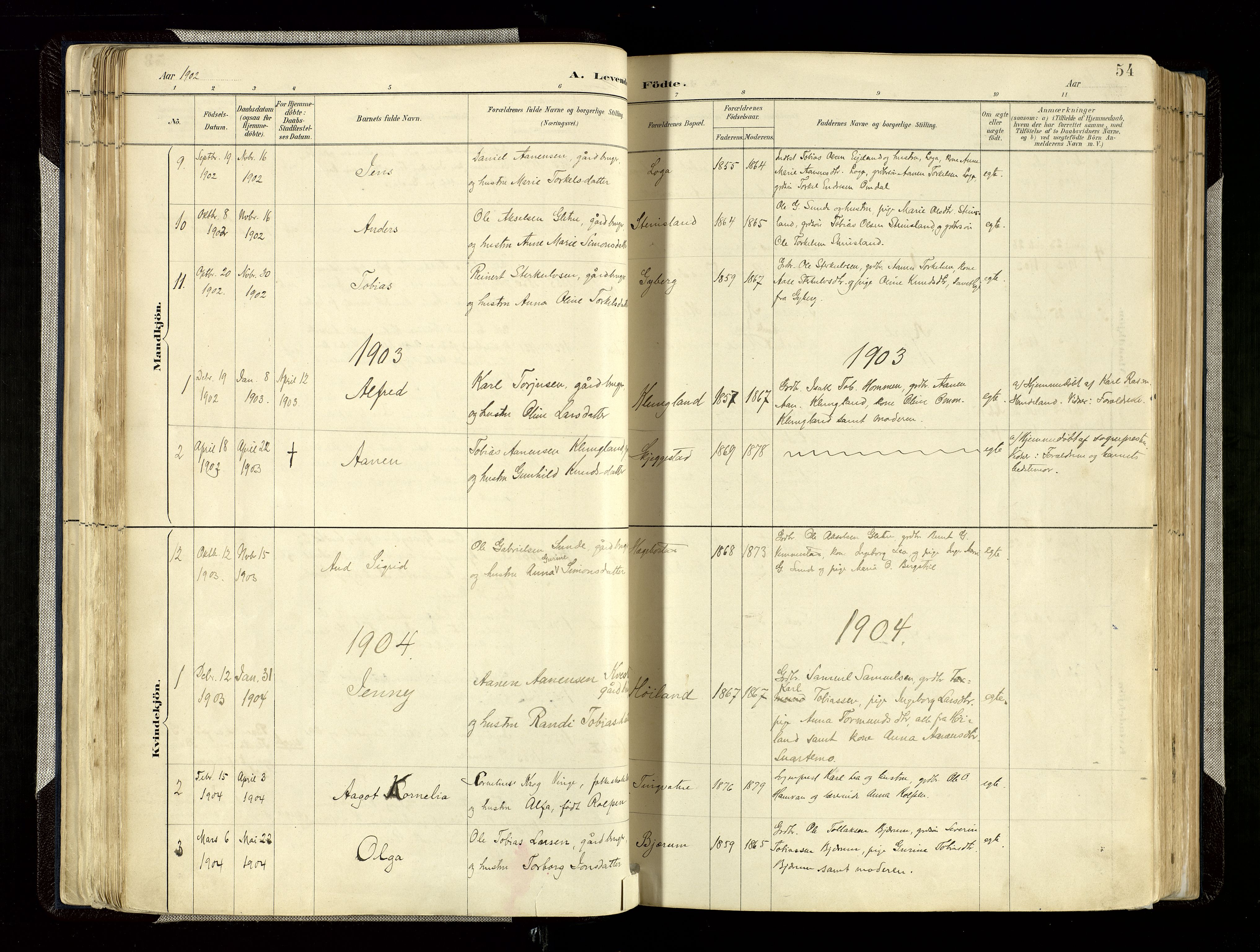 Hægebostad sokneprestkontor, AV/SAK-1111-0024/F/Fa/Faa/L0006: Parish register (official) no. A 6, 1887-1929, p. 54