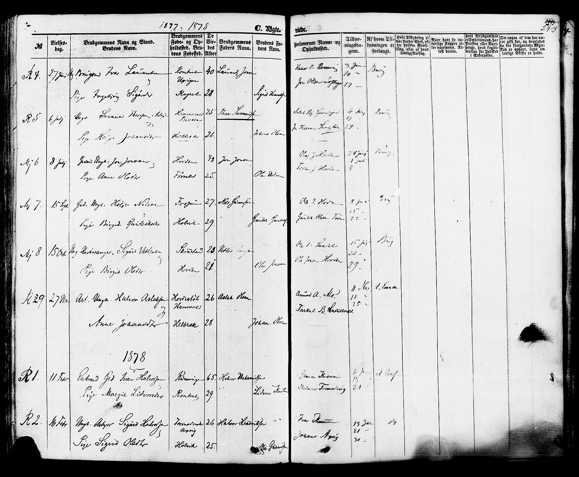 Rauland kirkebøker, SAKO/A-292/F/Fa/L0003: Parish register (official) no. 3, 1859-1886, p. 243