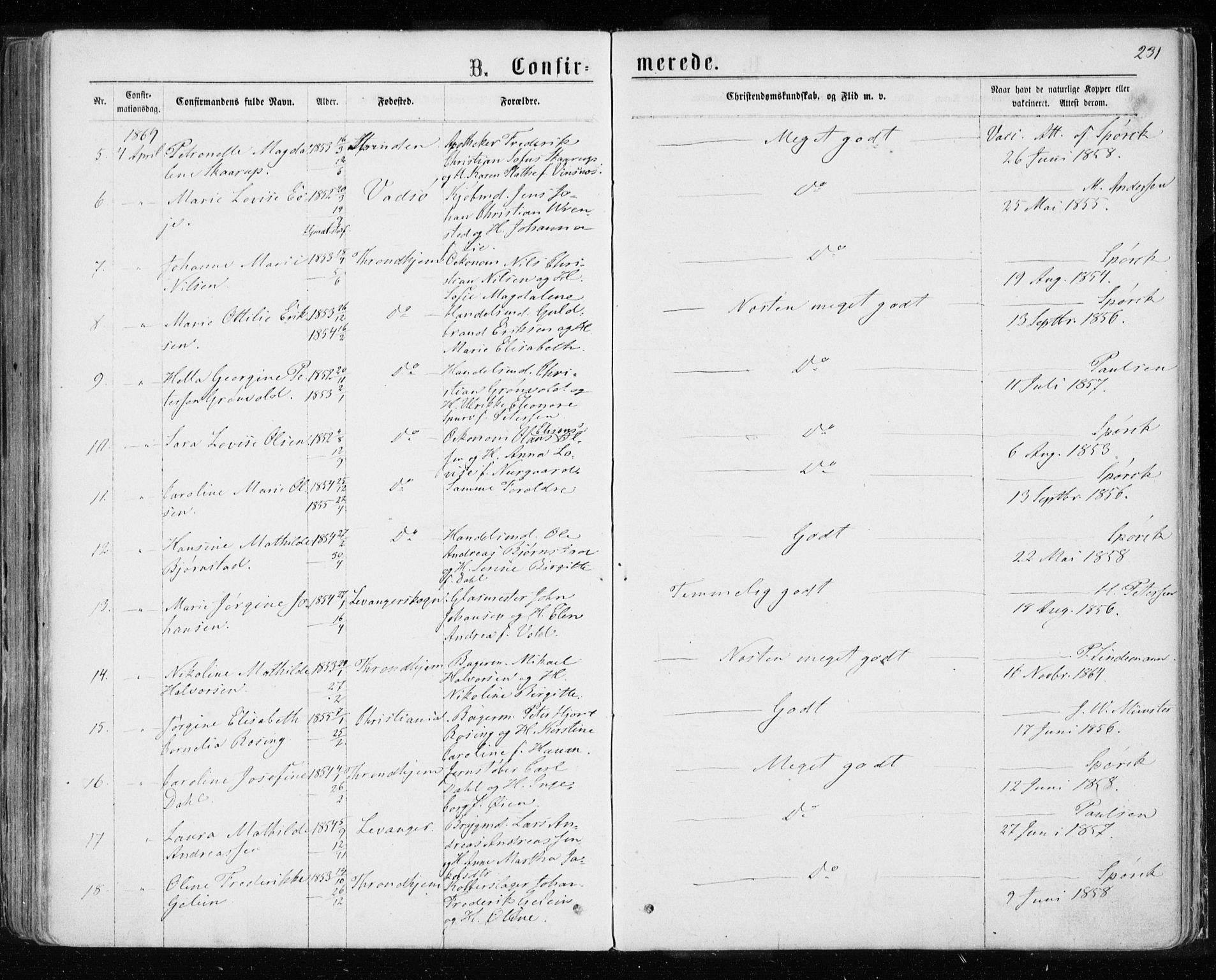 Ministerialprotokoller, klokkerbøker og fødselsregistre - Sør-Trøndelag, SAT/A-1456/601/L0054: Parish register (official) no. 601A22, 1866-1877, p. 231