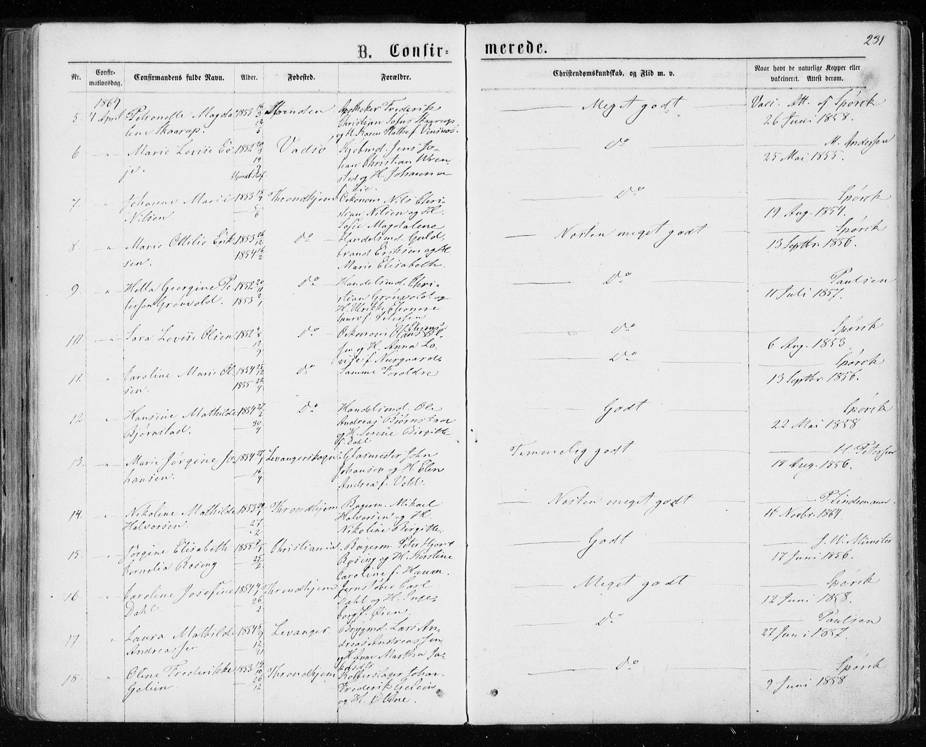 Ministerialprotokoller, klokkerbøker og fødselsregistre - Sør-Trøndelag, AV/SAT-A-1456/601/L0054: Parish register (official) no. 601A22, 1866-1877, p. 231