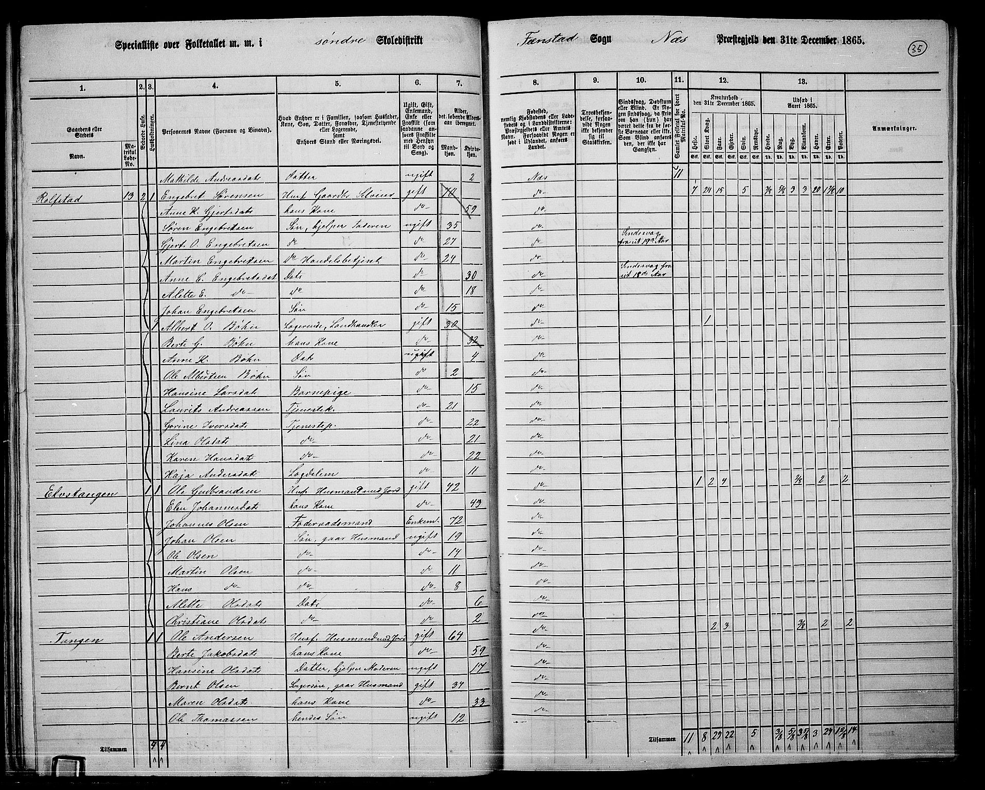 RA, 1865 census for Nes, 1865, p. 32