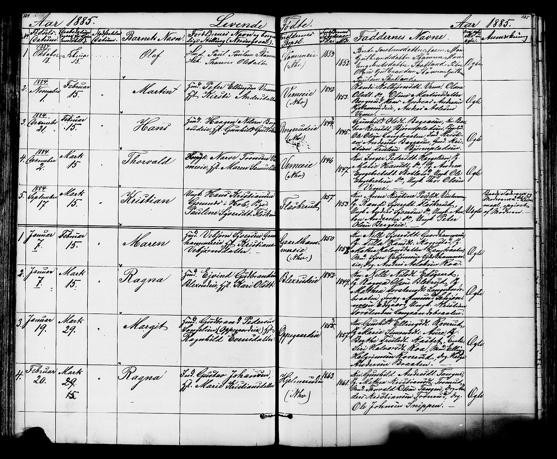 Lunder kirkebøker, AV/SAKO-A-629/G/Ga/L0003a: Parish register (copy) no. I 3, 1869-1888, p. 124-125