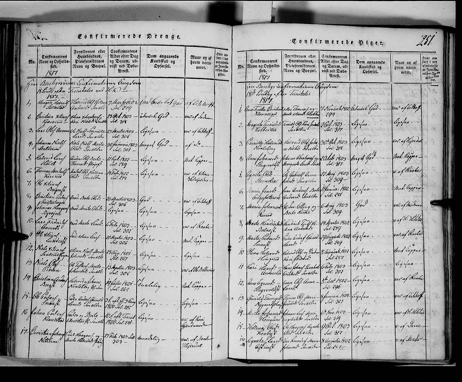 Toten prestekontor, SAH/PREST-102/H/Ha/Hab/L0001: Parish register (copy) no. 1, 1814-1820, p. 251