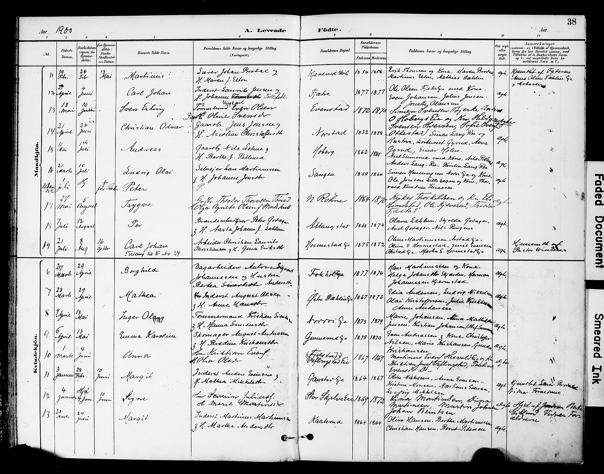 Stange prestekontor, AV/SAH-PREST-002/K/L0021: Parish register (official) no. 21, 1891-1902, p. 38