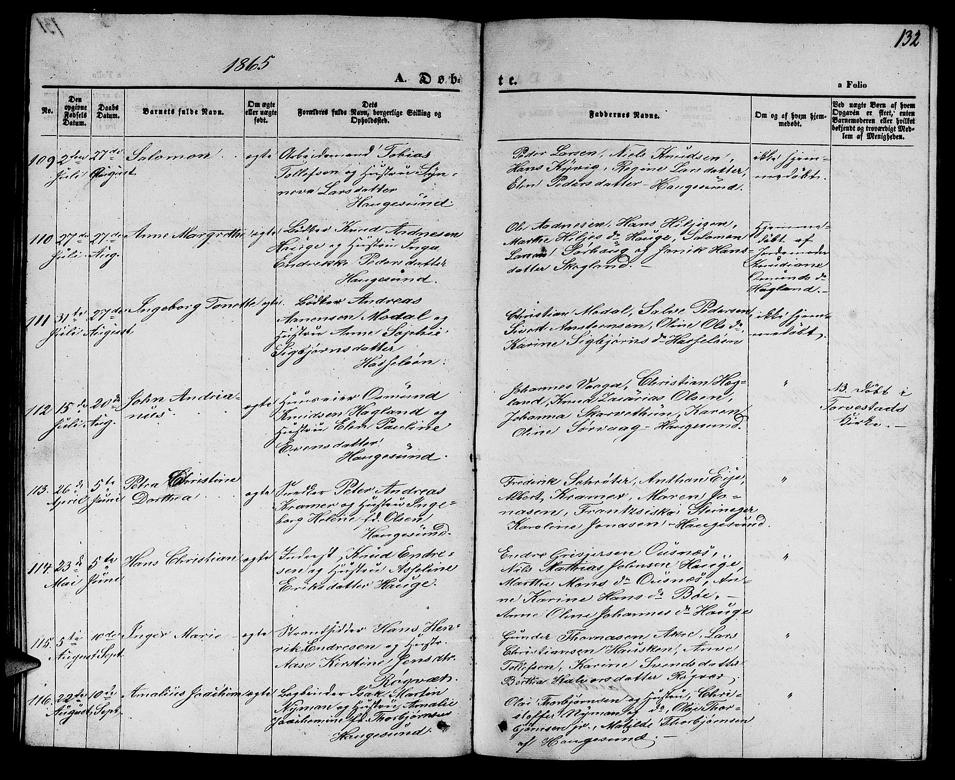 Torvastad sokneprestkontor, AV/SAST-A -101857/H/Ha/Hab/L0006: Parish register (copy) no. B 6, 1858-1867, p. 132