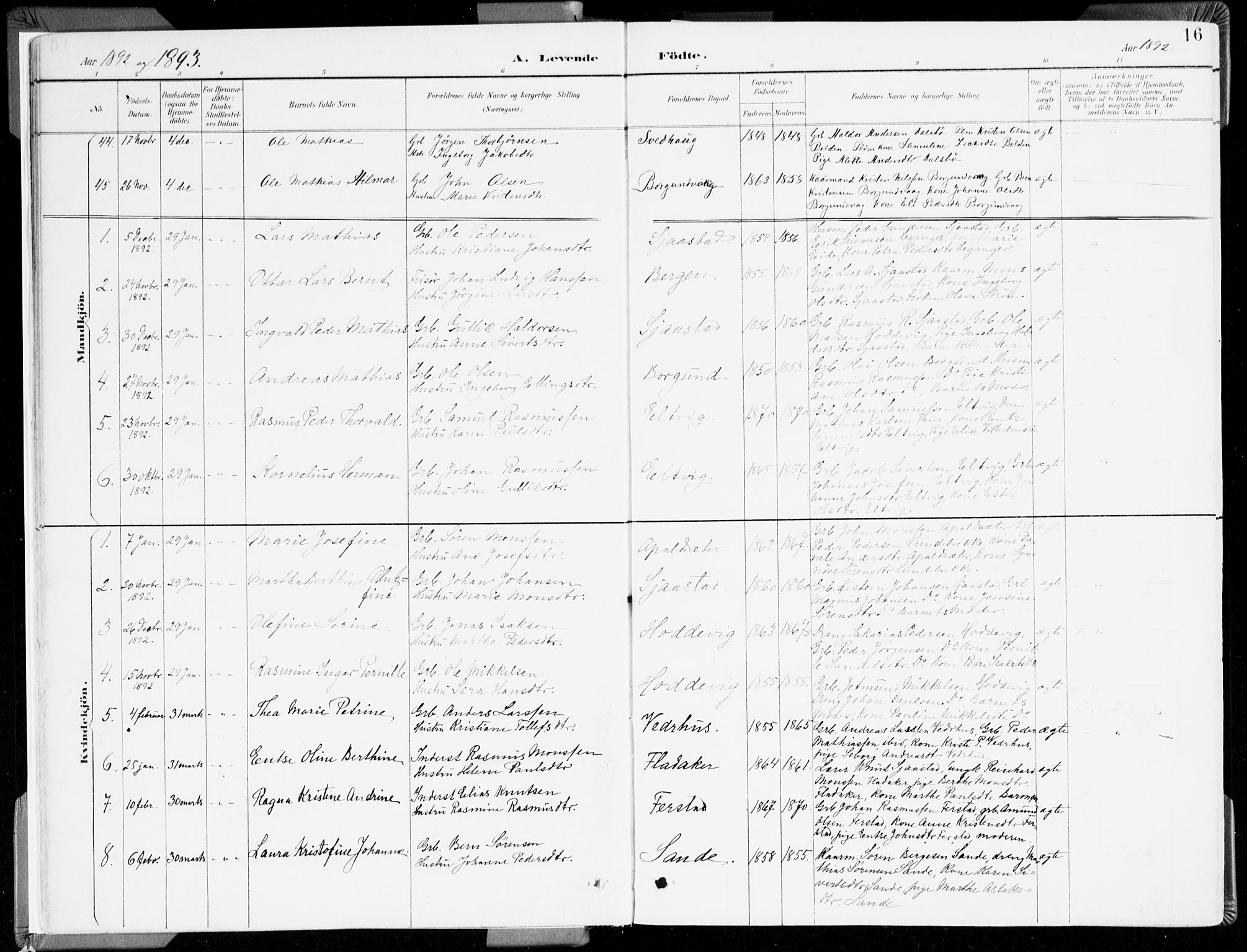 Selje sokneprestembete, SAB/A-99938/H/Ha/Haa/Haab: Parish register (official) no. B 2, 1891-1907, p. 16