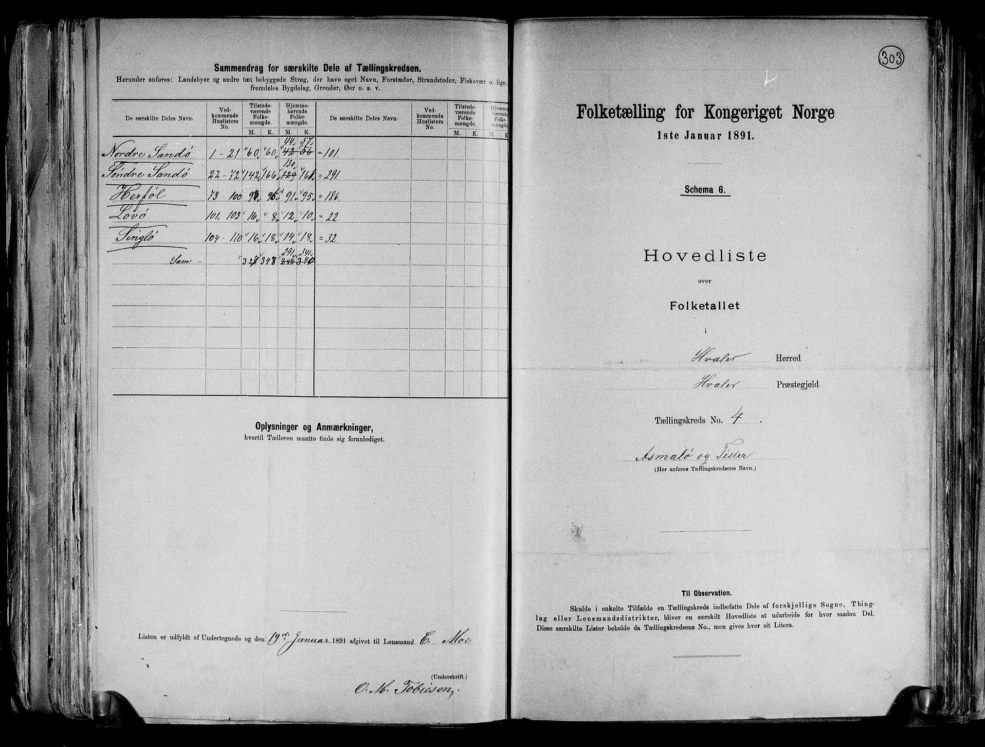 RA, 1891 census for 0111 Hvaler, 1891, p. 16