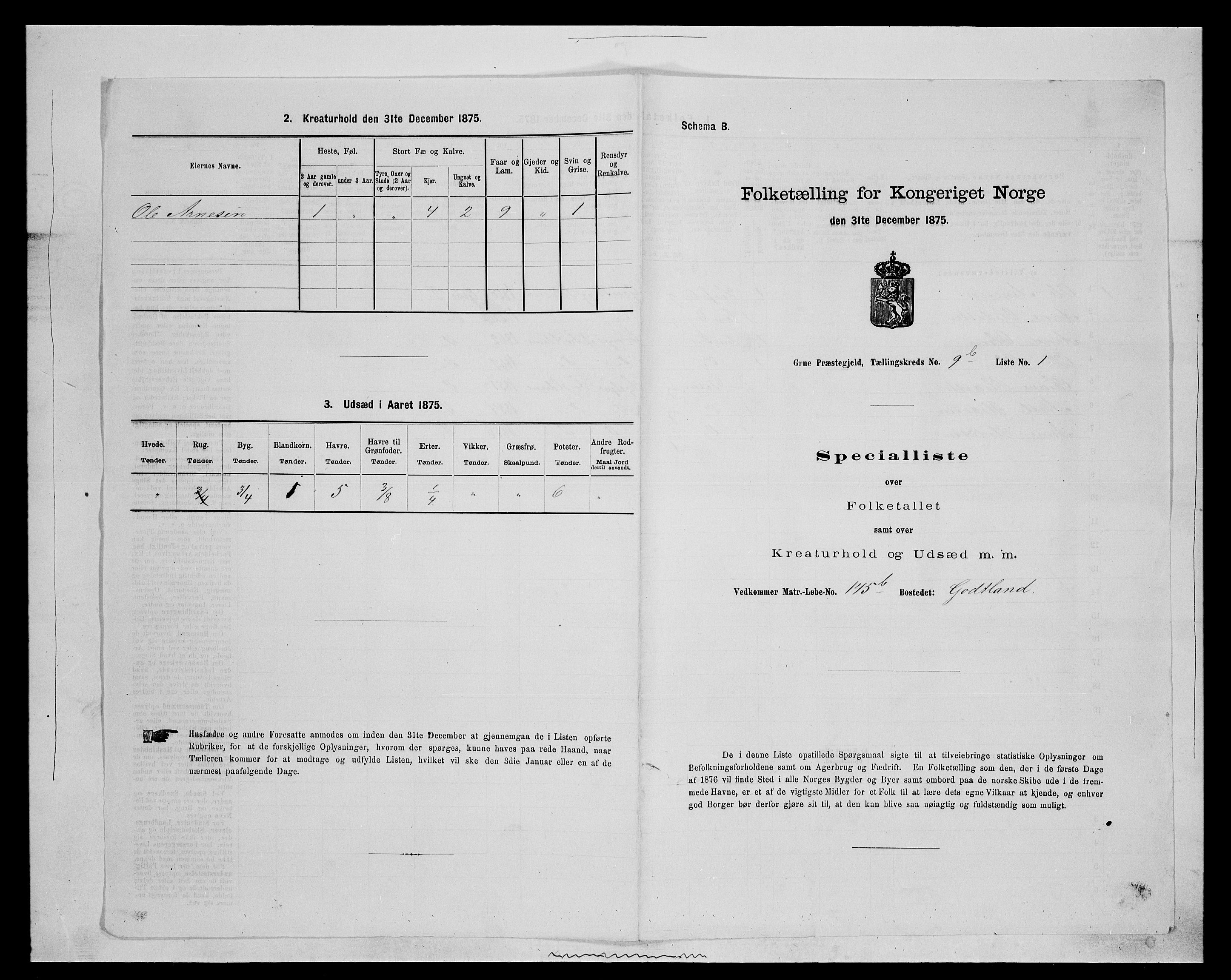 SAH, 1875 census for 0423P Grue, 1875, p. 1724