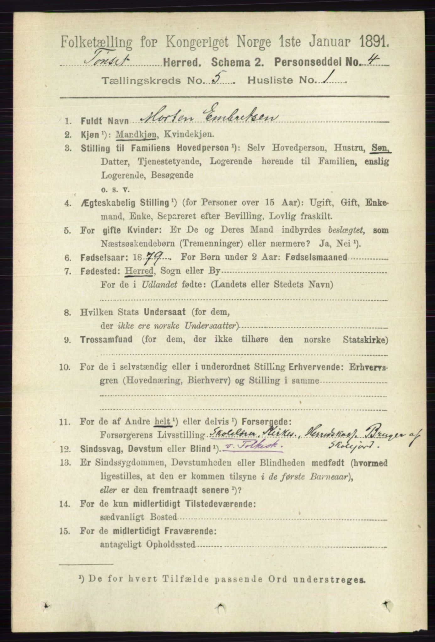 RA, 1891 census for 0437 Tynset, 1891, p. 1081