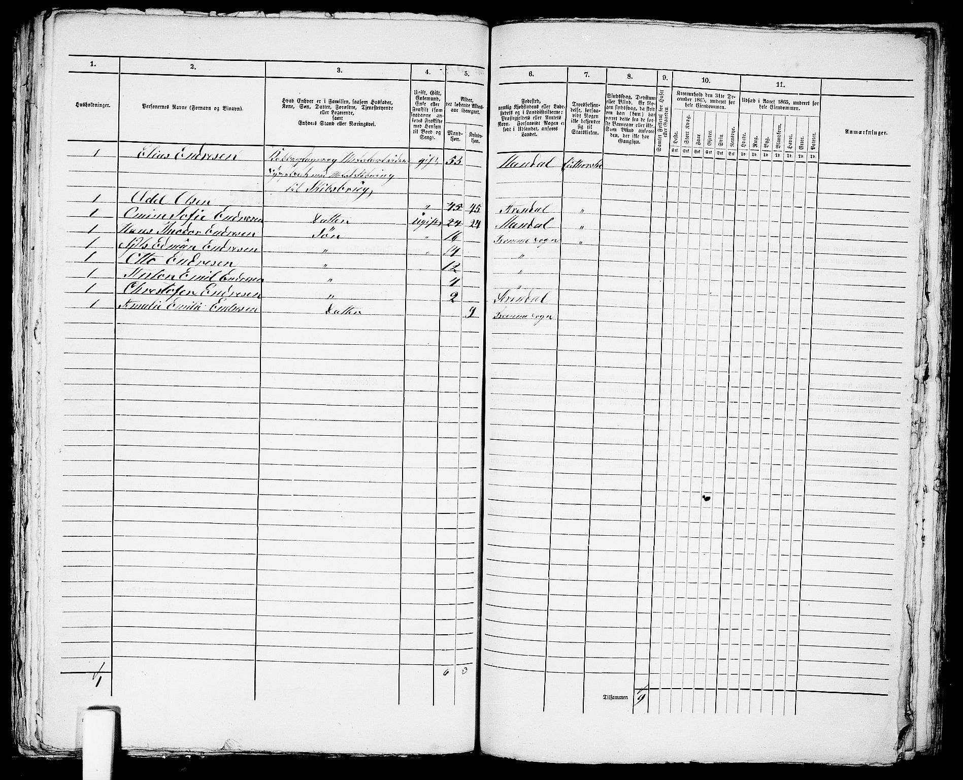 RA, 1865 census for Arendal, 1865, p. 300