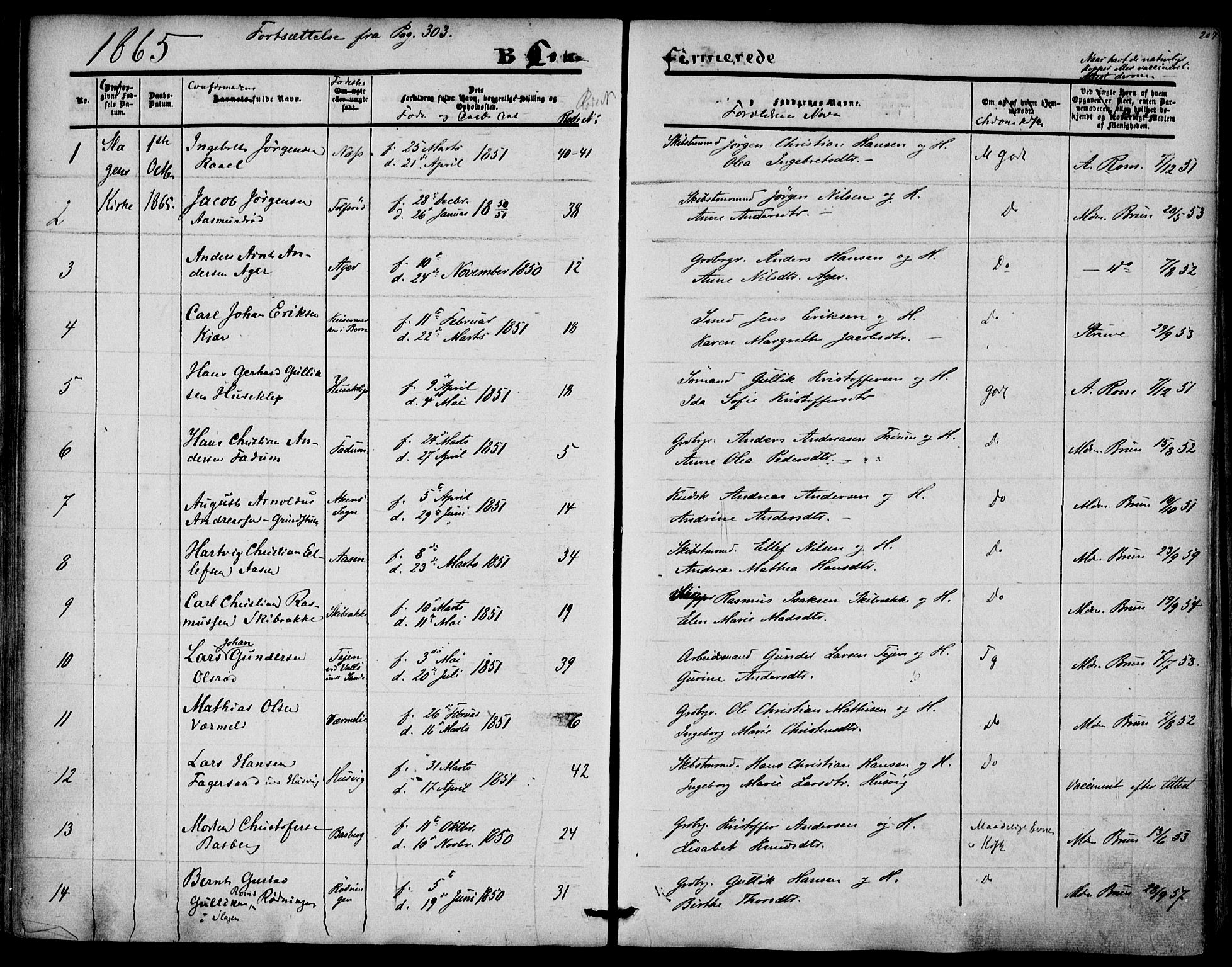 Sem kirkebøker, SAKO/A-5/F/Fa/L0007: Parish register (official) no. I 7, 1856-1865, p. 207
