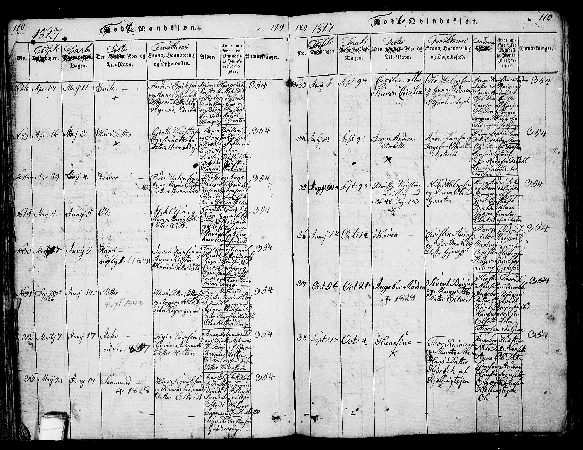 Solum kirkebøker, AV/SAKO-A-306/G/Ga/L0001: Parish register (copy) no. I 1, 1814-1833, p. 110