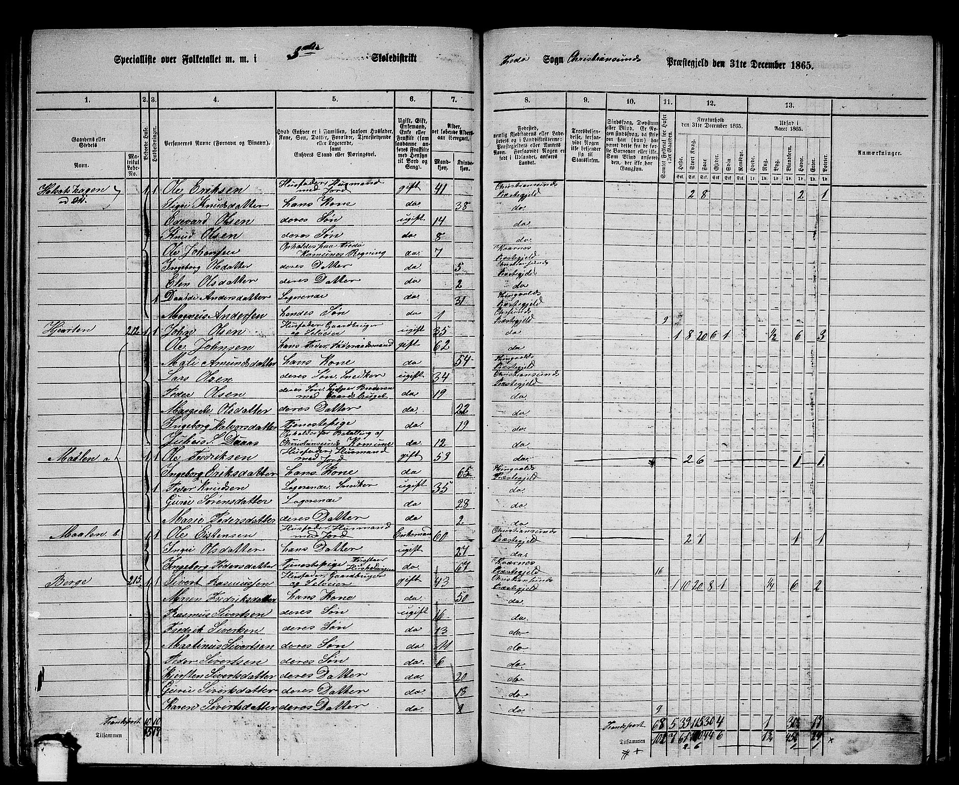 RA, 1865 census for Kristiansund/Frei og Grip, 1865, p. 40