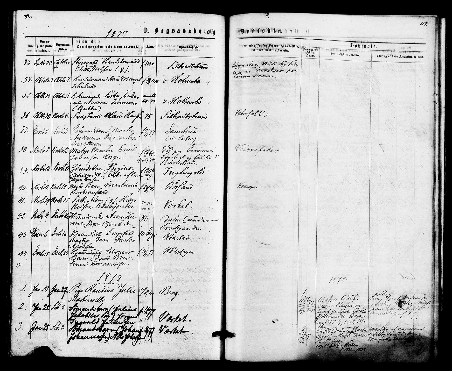 Hurum kirkebøker, SAKO/A-229/F/Fa/L0013: Parish register (official) no. 13, 1876-1881, p. 214