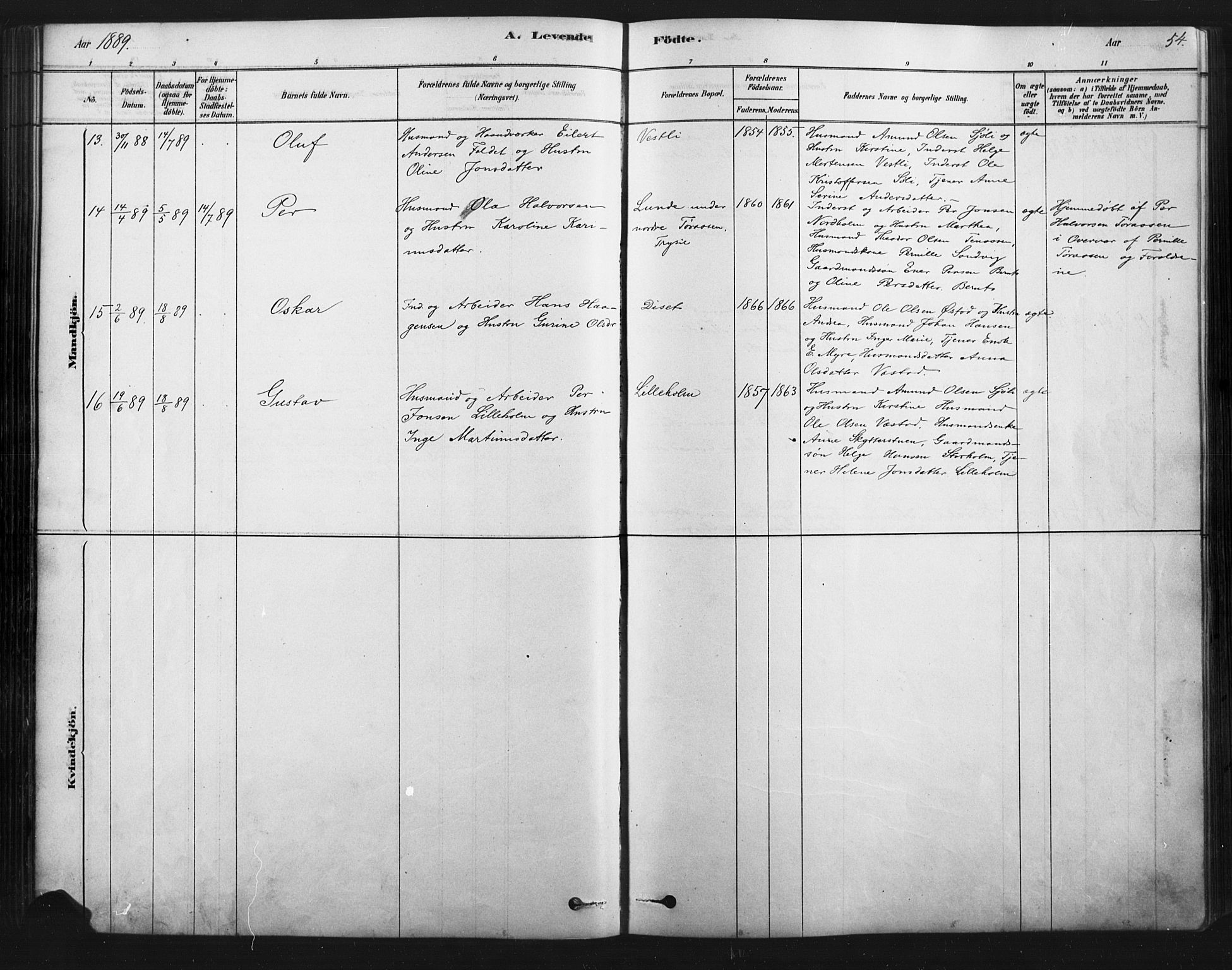 Åmot prestekontor, Hedmark, AV/SAH-PREST-056/H/Ha/Haa/L0012: Parish register (official) no. 12, 1878-1901, p. 54