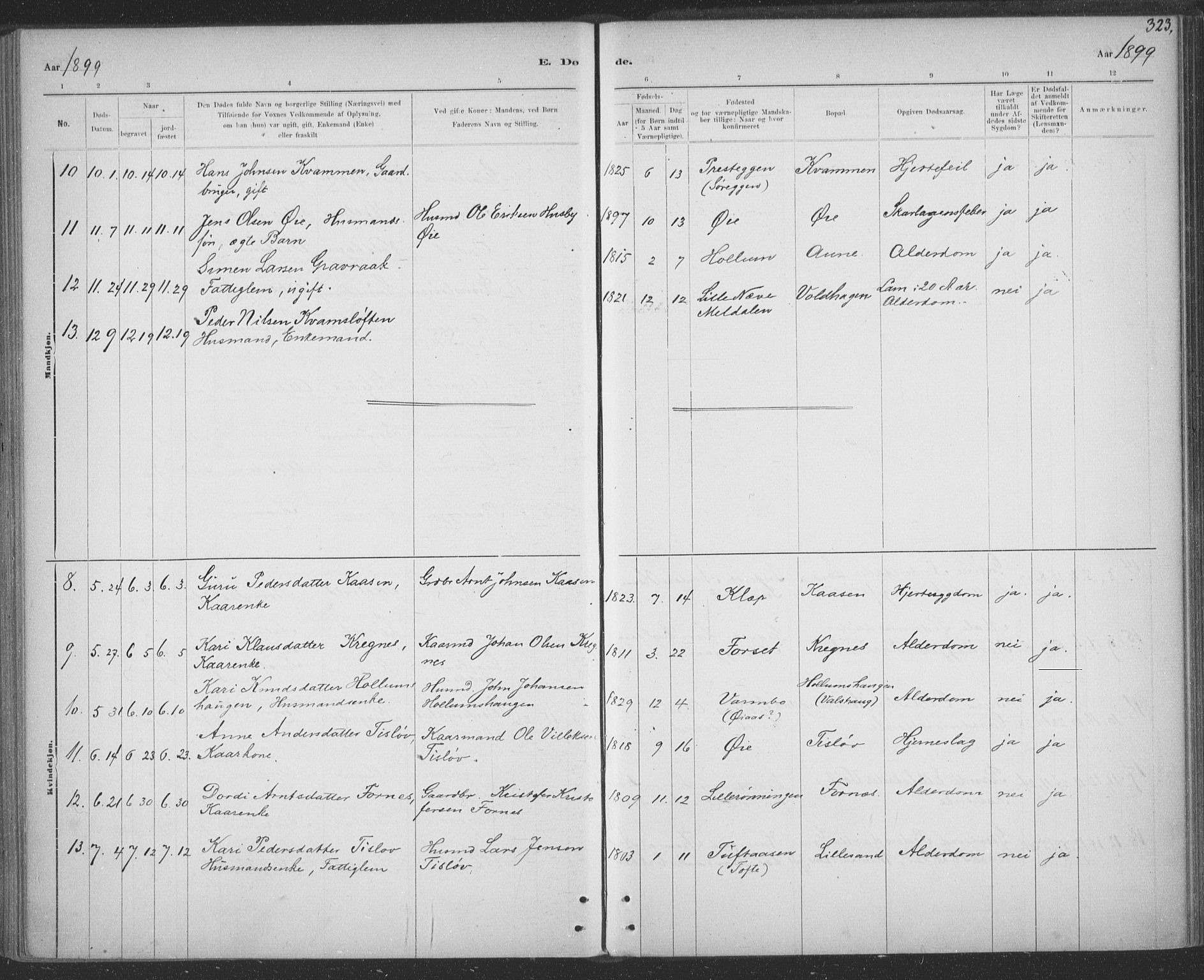 Ministerialprotokoller, klokkerbøker og fødselsregistre - Sør-Trøndelag, AV/SAT-A-1456/691/L1085: Parish register (official) no. 691A17, 1887-1908, p. 323