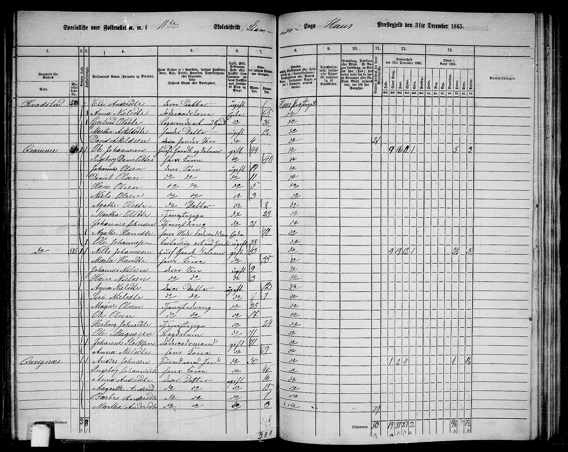 RA, 1865 census for Haus, 1865, p. 224