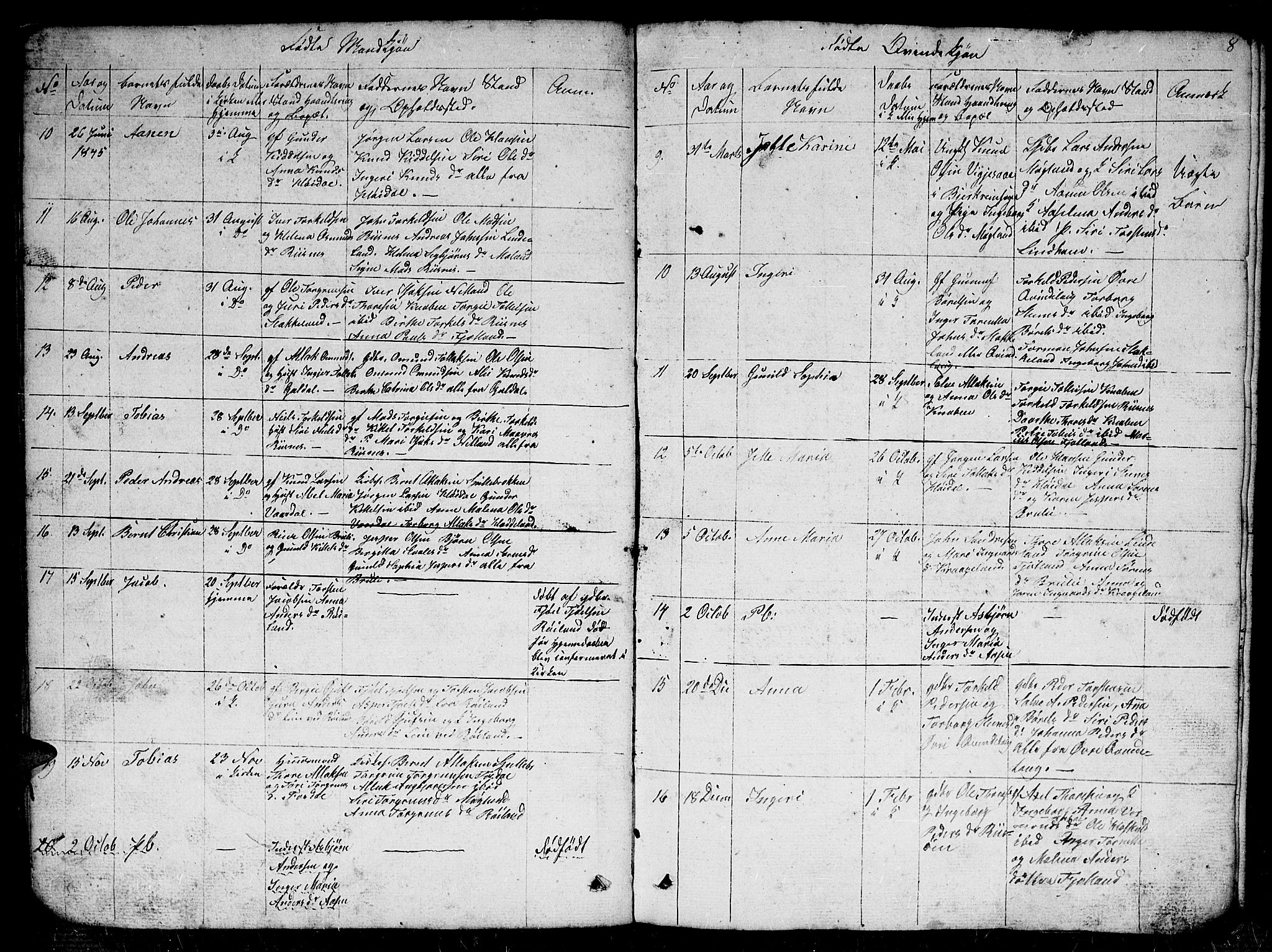 Fjotland sokneprestkontor, AV/SAK-1111-0010/F/Fb/L0002: Parish register (copy) no. B 2, 1841-1871, p. 8