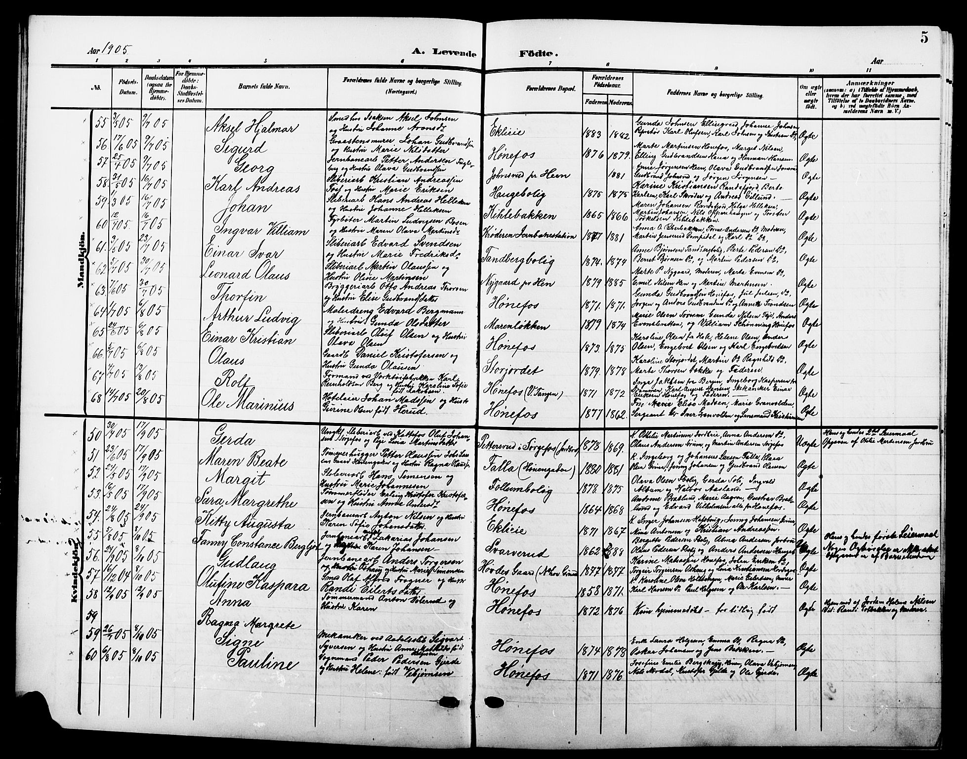 Hønefoss kirkebøker, AV/SAKO-A-609/G/Ga/L0003: Parish register (copy) no. 3, 1905-1925, p. 5