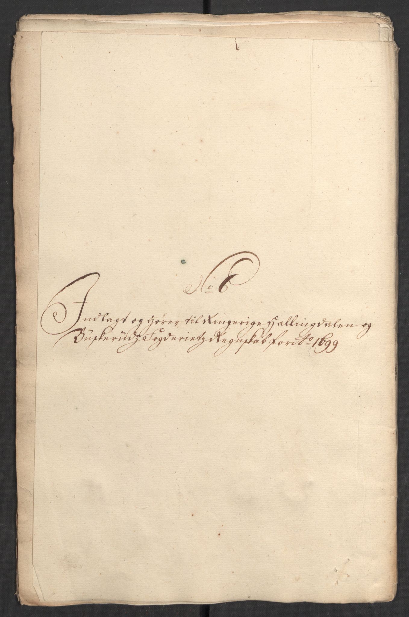 Rentekammeret inntil 1814, Reviderte regnskaper, Fogderegnskap, RA/EA-4092/R22/L1456: Fogderegnskap Ringerike, Hallingdal og Buskerud, 1699, p. 310