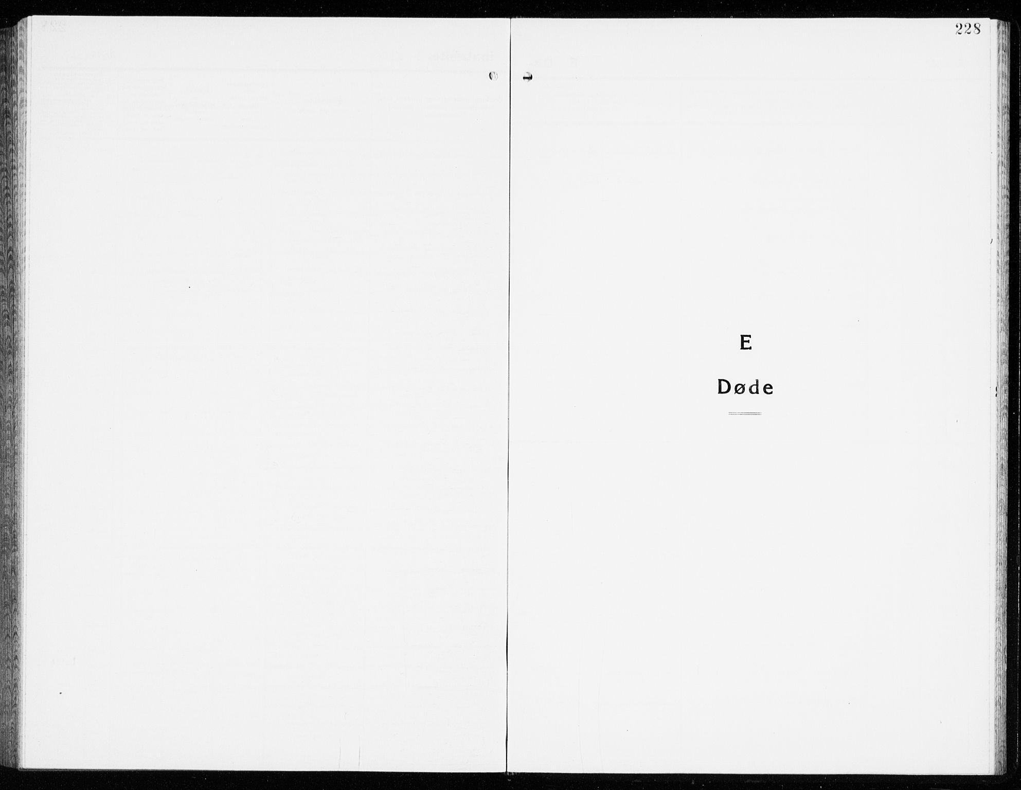 Eidanger kirkebøker, SAKO/A-261/G/Ga/L0005: Parish register (copy) no. 5, 1928-1942, p. 228