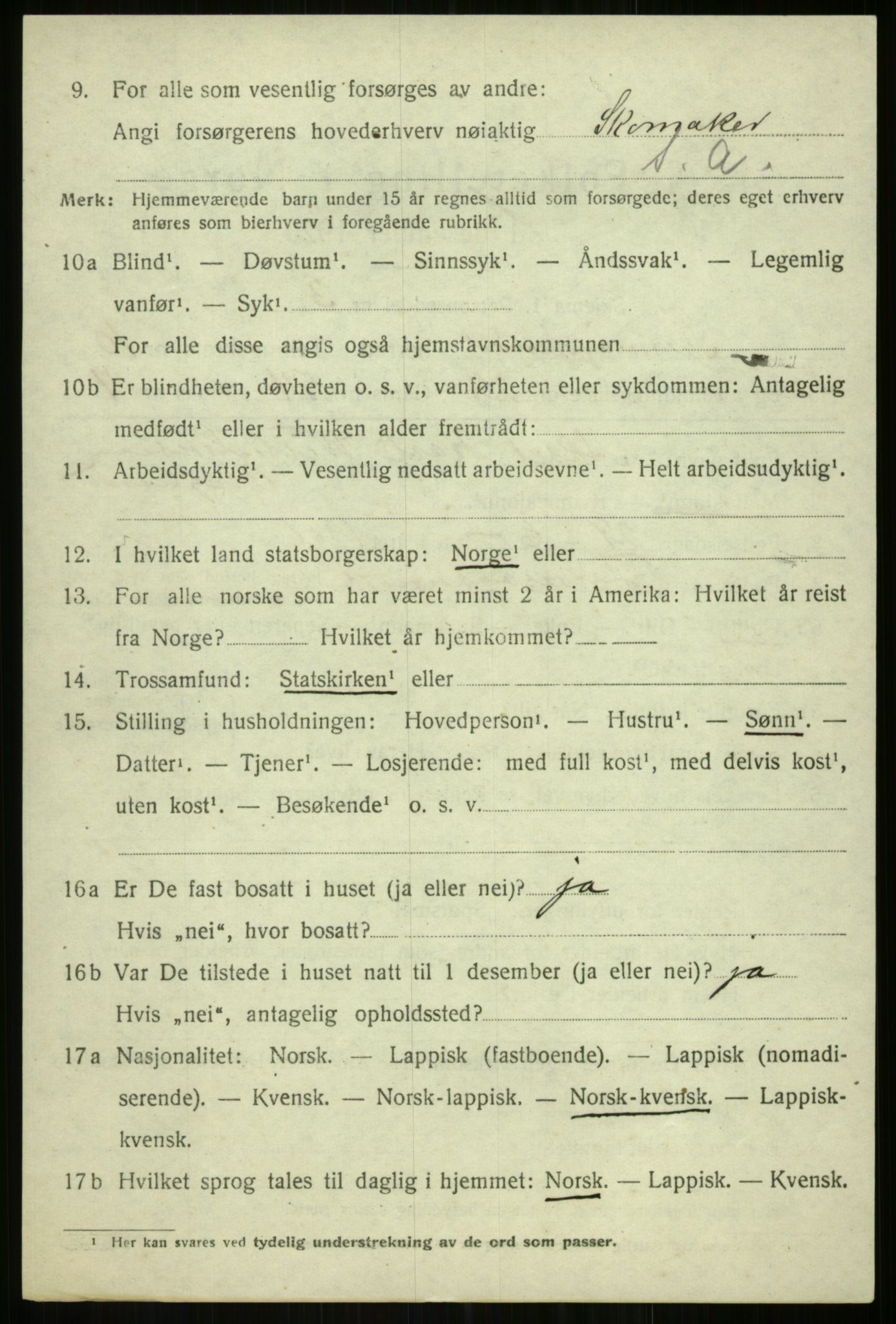 SATØ, 1920 census for Tromsøysund, 1920, p. 7229