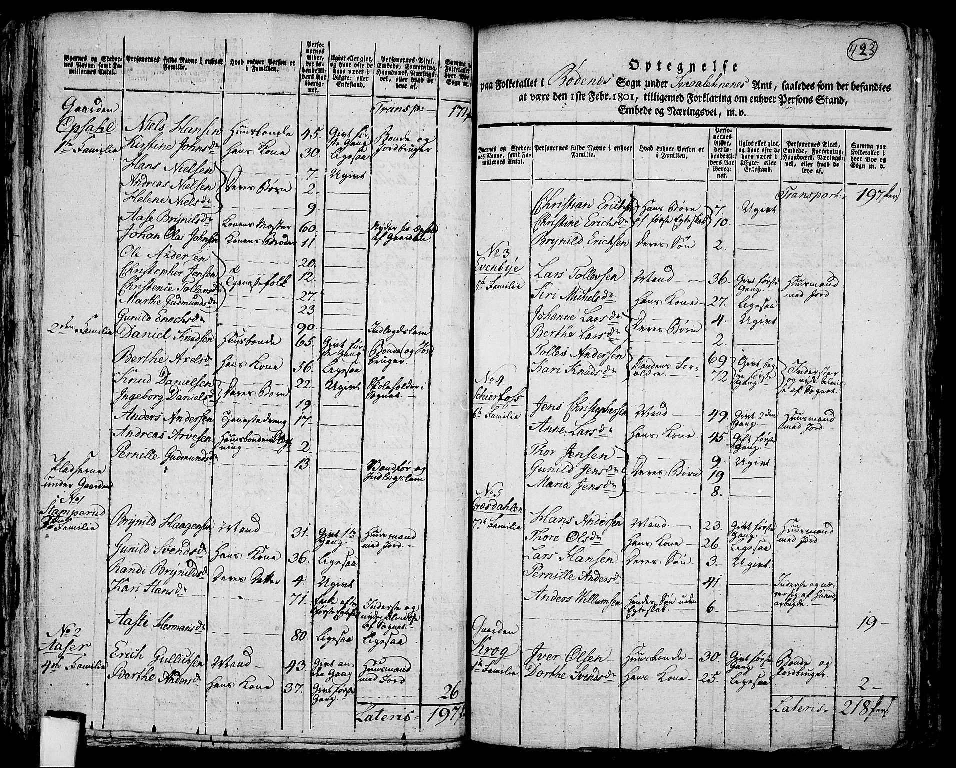 RA, 1801 census for 0120P Rødenes, 1801, p. 422b-423a